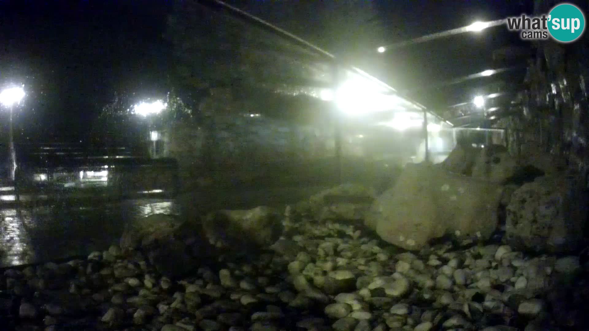 Webcam de l’aquarium marin extérieur de Rogoznica Croatie