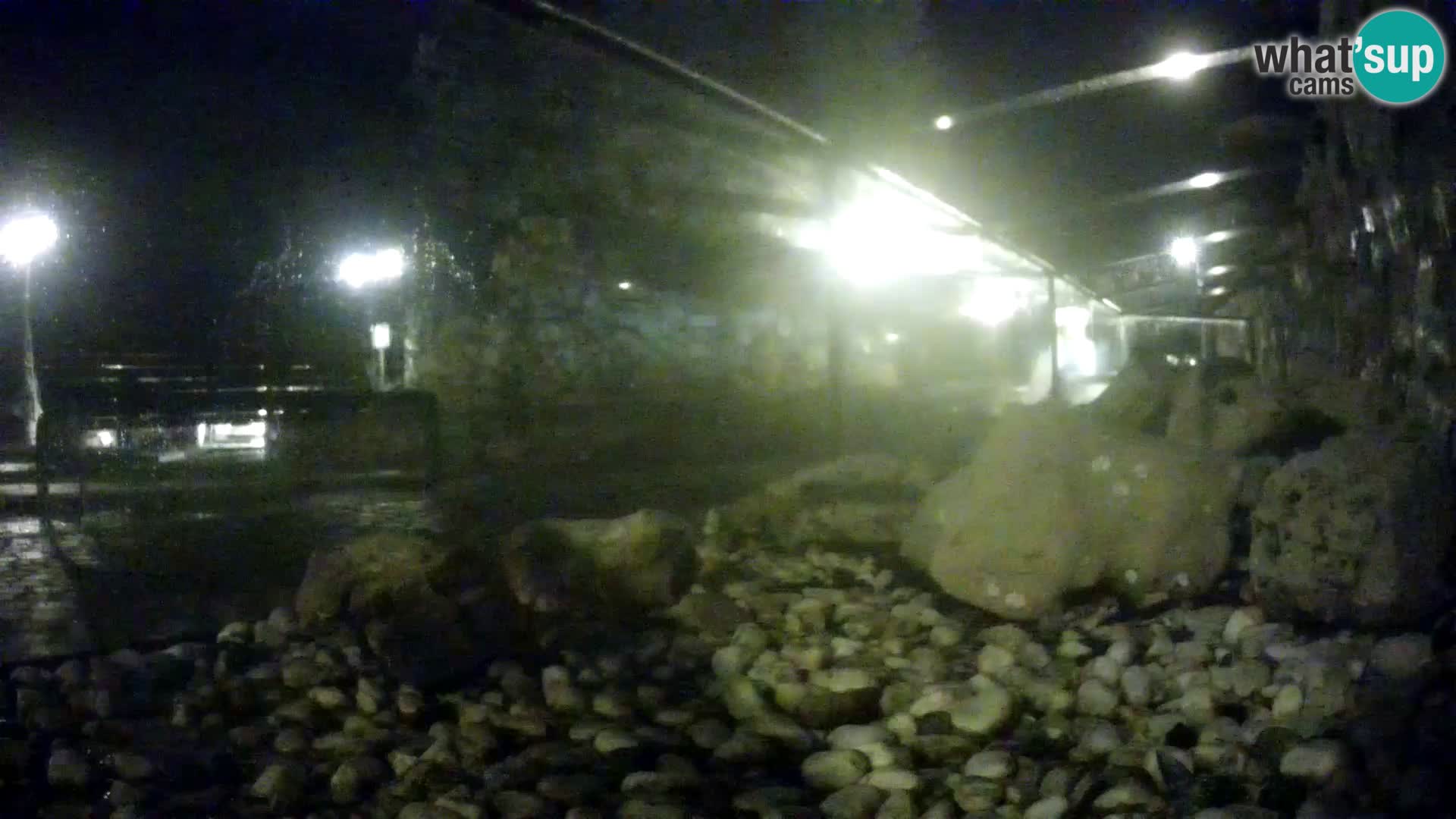 Outdoor Marine Aquarium Rogoznica webcam Croatia