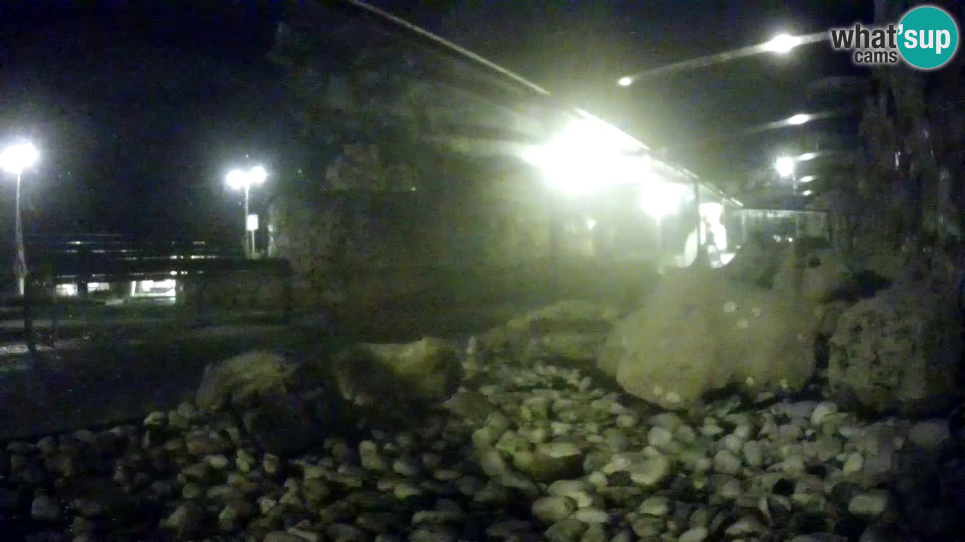 Webcam de l’aquarium marin extérieur de Rogoznica Croatie