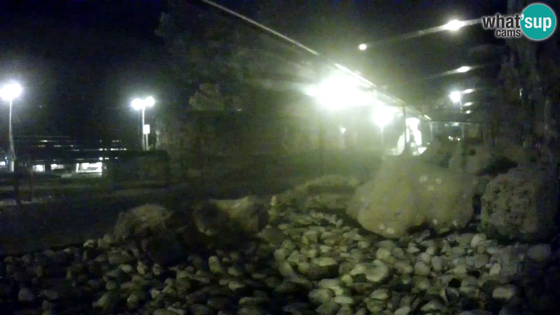 Aquario marino esterno –  Rogoznica livecam Croazia