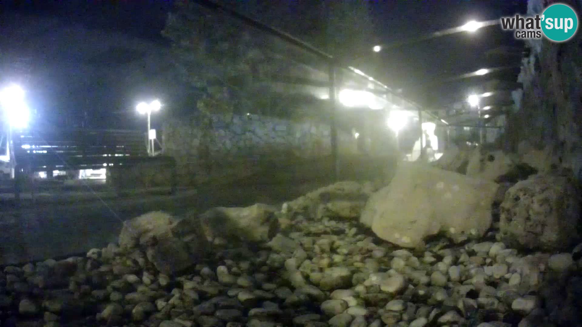 Aquario marino esterno –  Rogoznica livecam Croazia