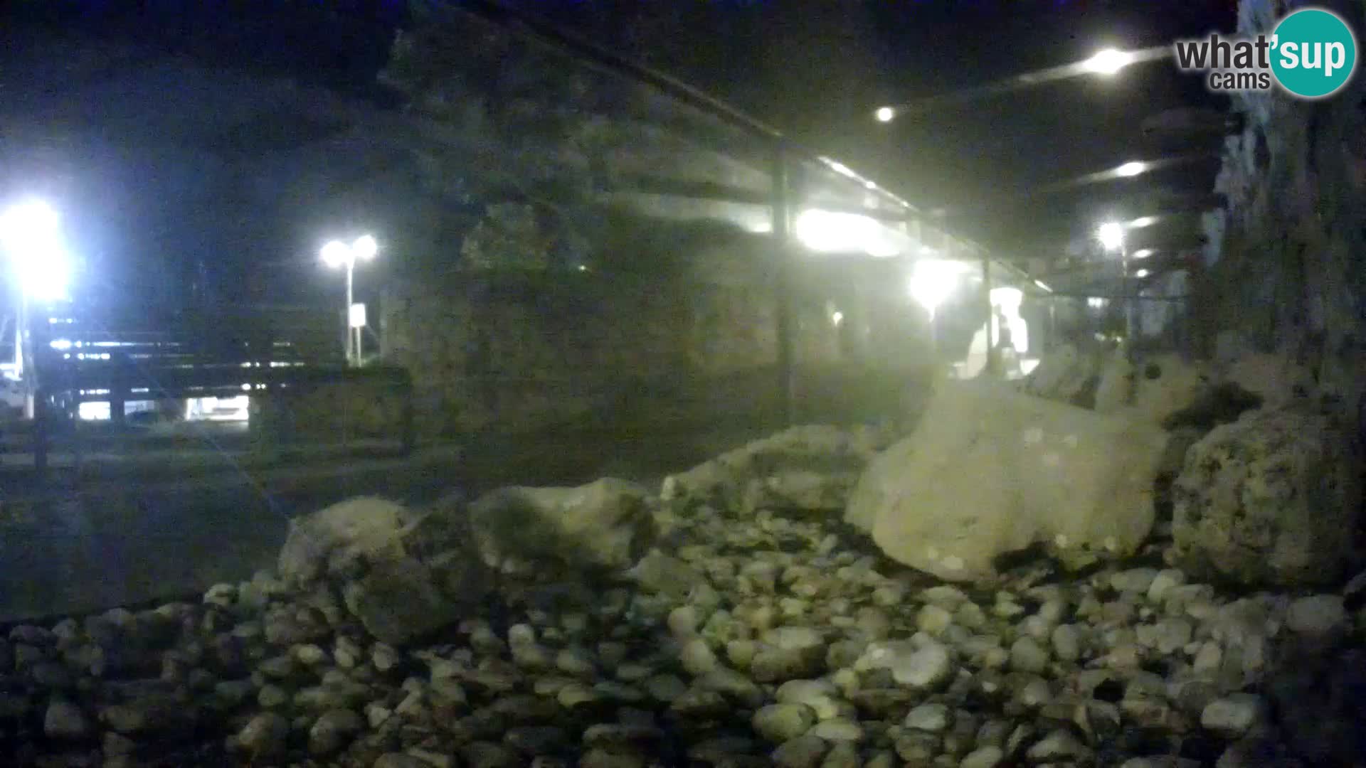 Aquario marino esterno –  Rogoznica livecam Croazia