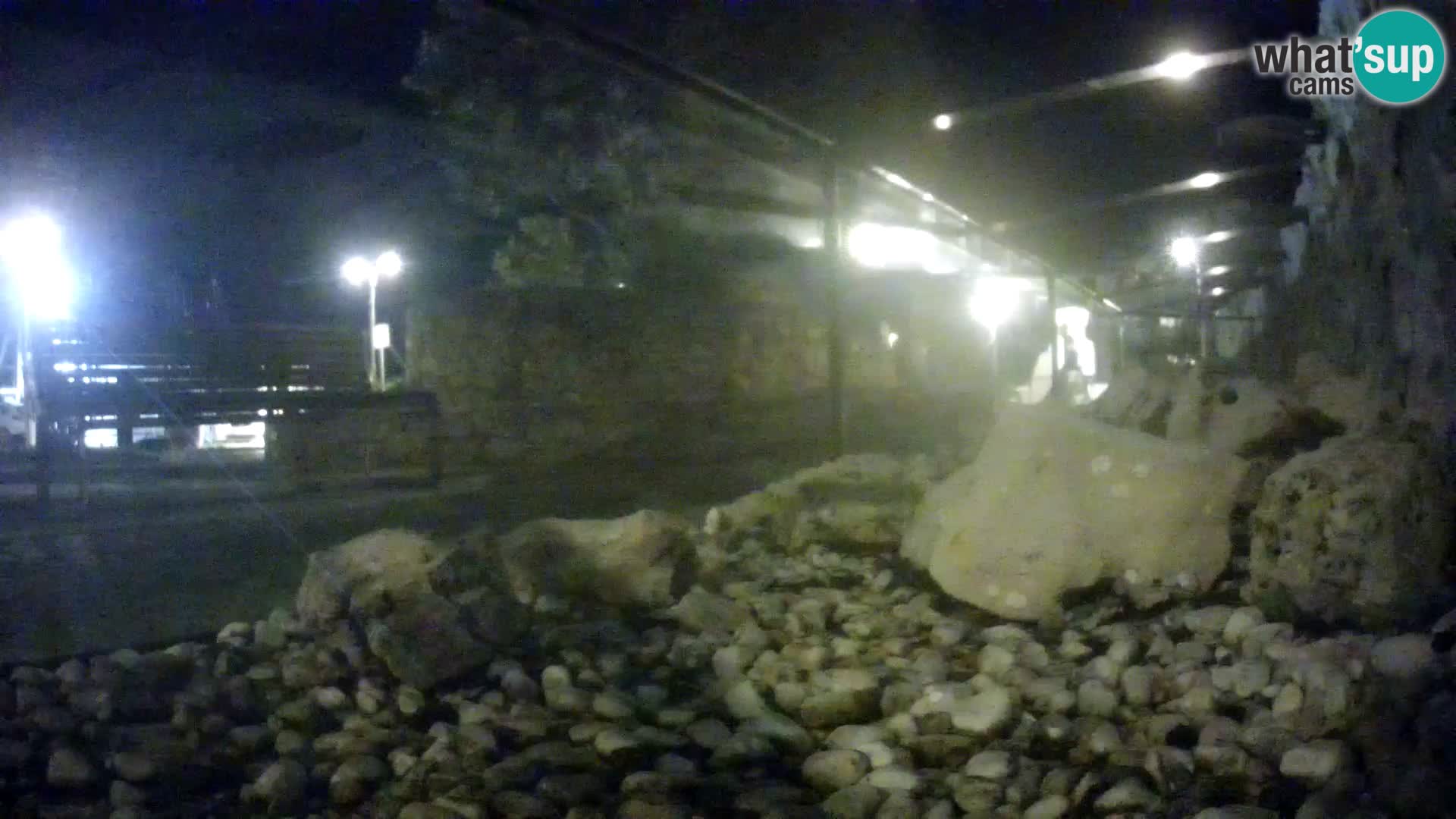 Webcam de l’aquarium marin extérieur de Rogoznica Croatie