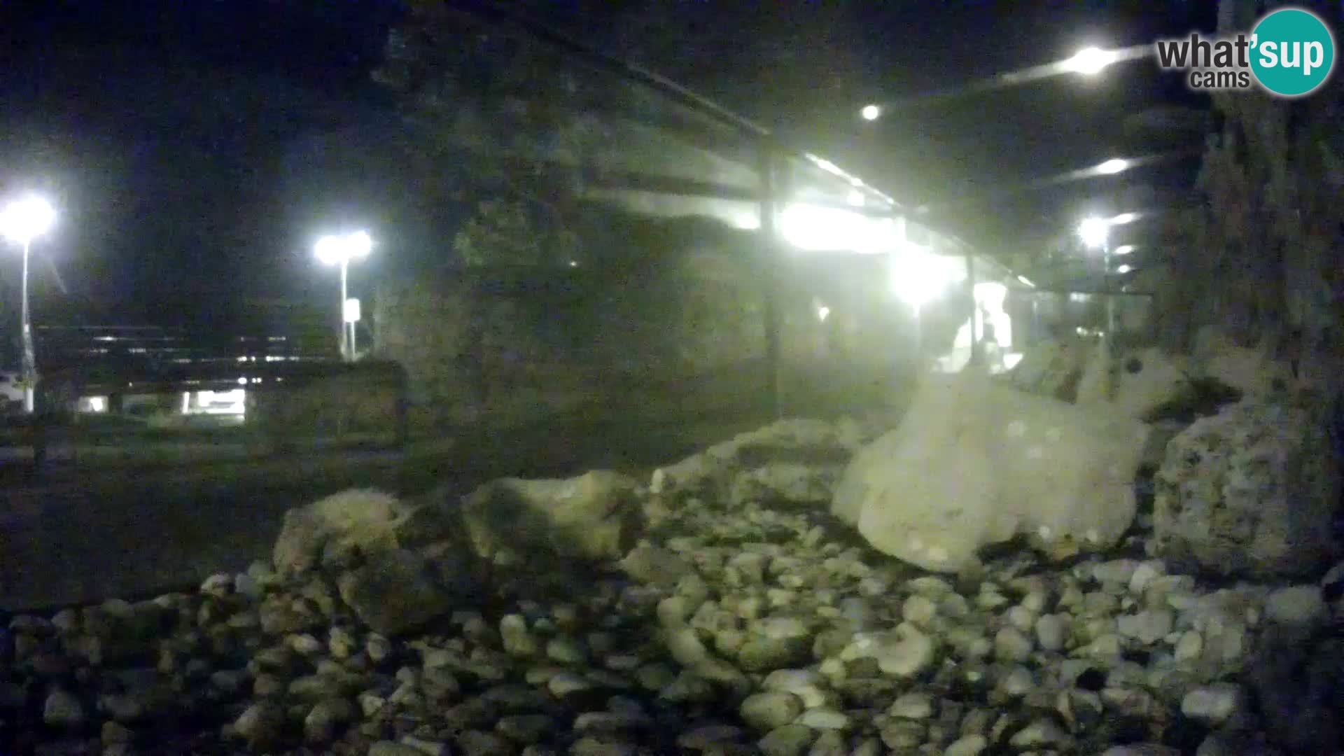 Webcam de l’aquarium marin extérieur de Rogoznica Croatie