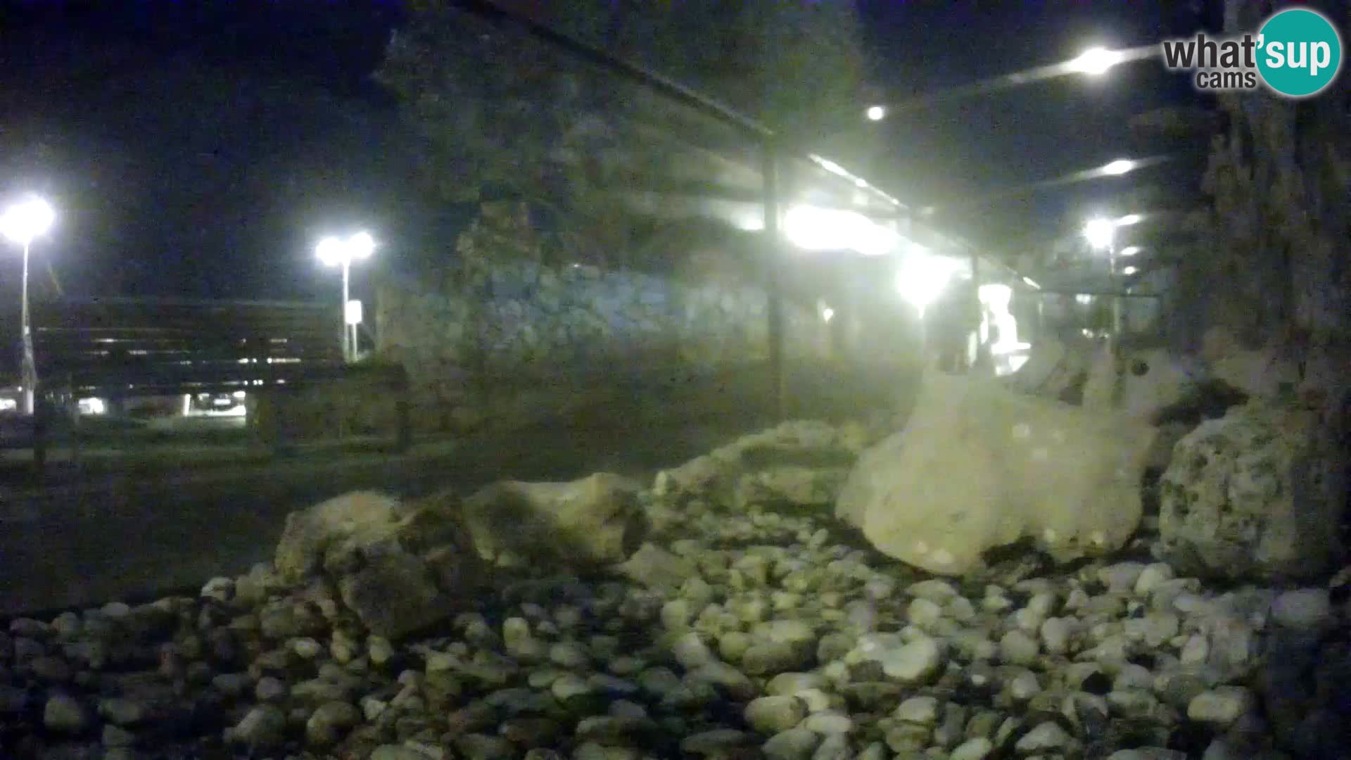 Marine Aquarium im Freien Rogoznica webcam Kroatien