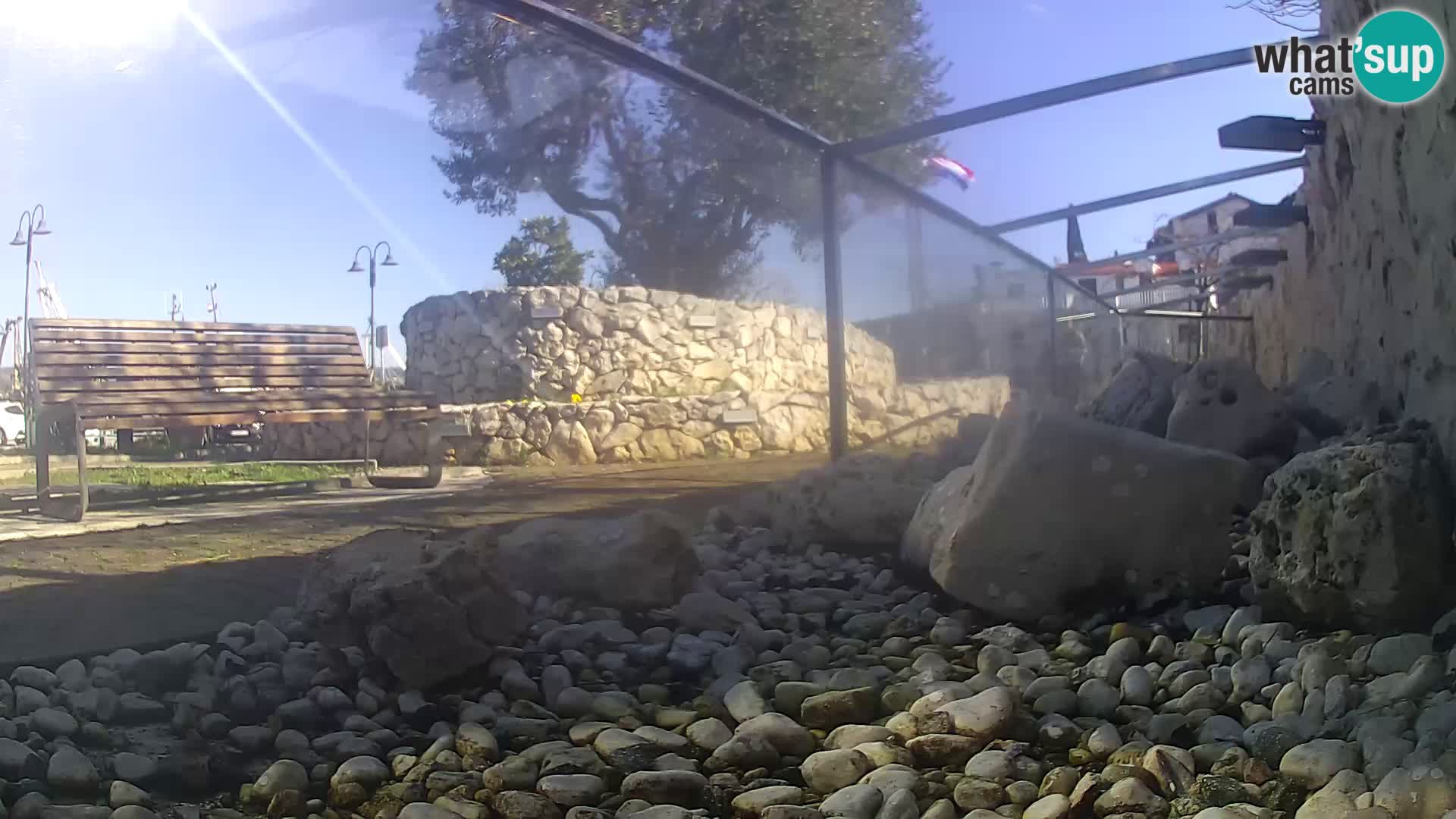 Acuario marino al aire libre Rogoznica webcam Croacia