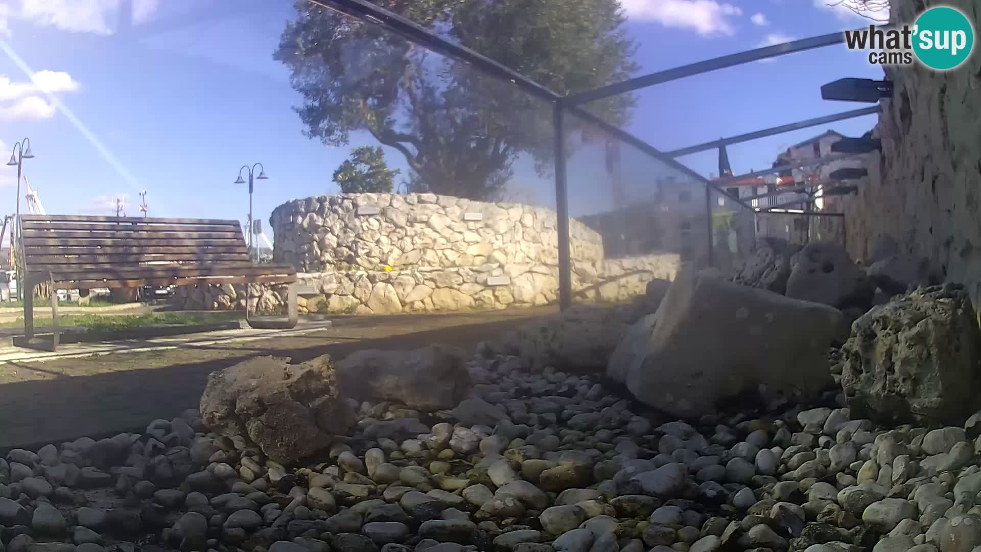 Aquario marino esterno –  Rogoznica livecam Croazia