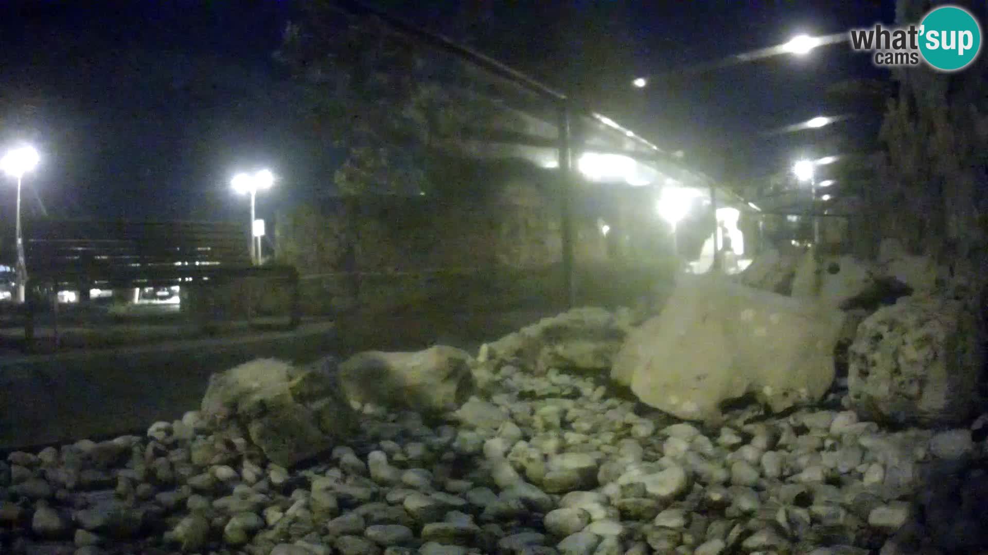 Vanjski morski akvarij Rogoznica web kamera Hrvatska