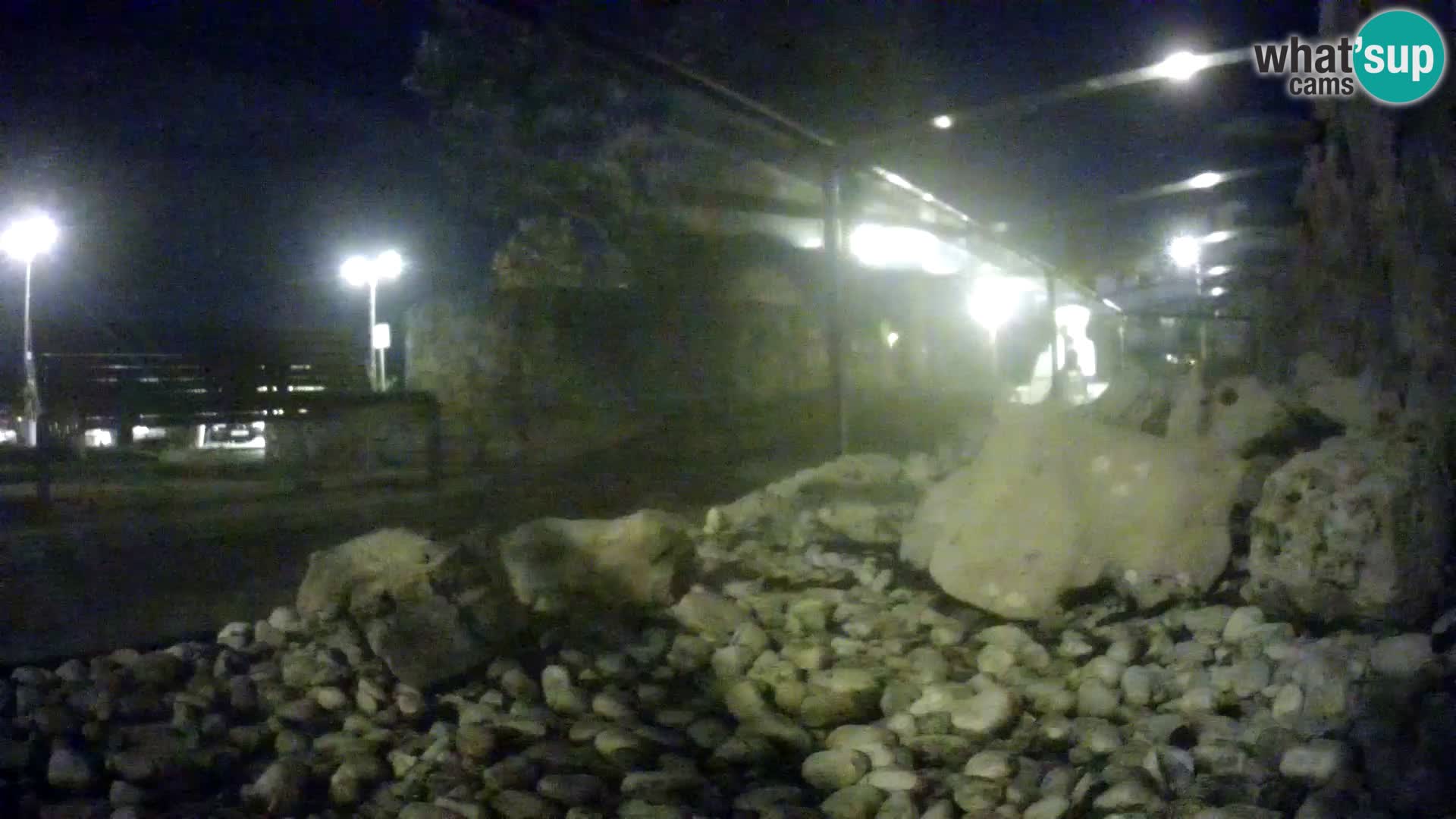 Aquario marino esterno –  Rogoznica livecam Croazia