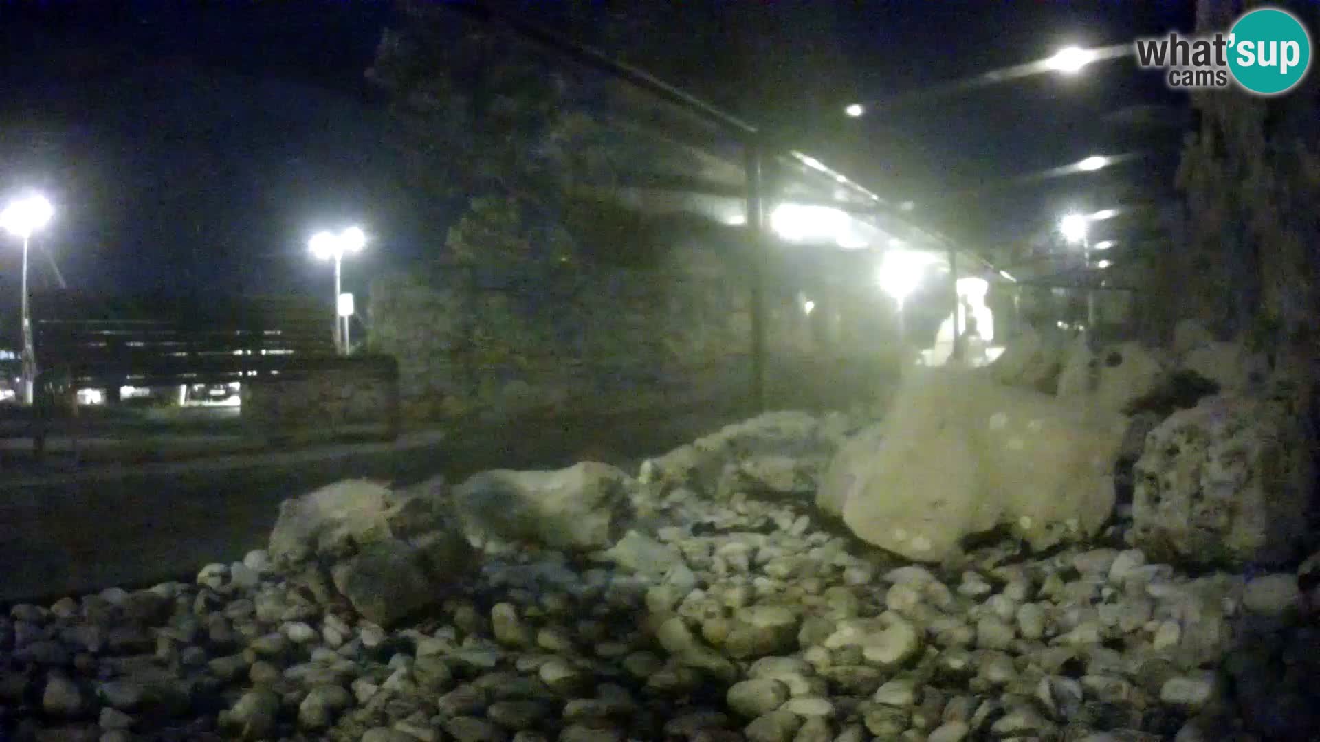 Outdoor Marine Aquarium Rogoznica webcam Croatia