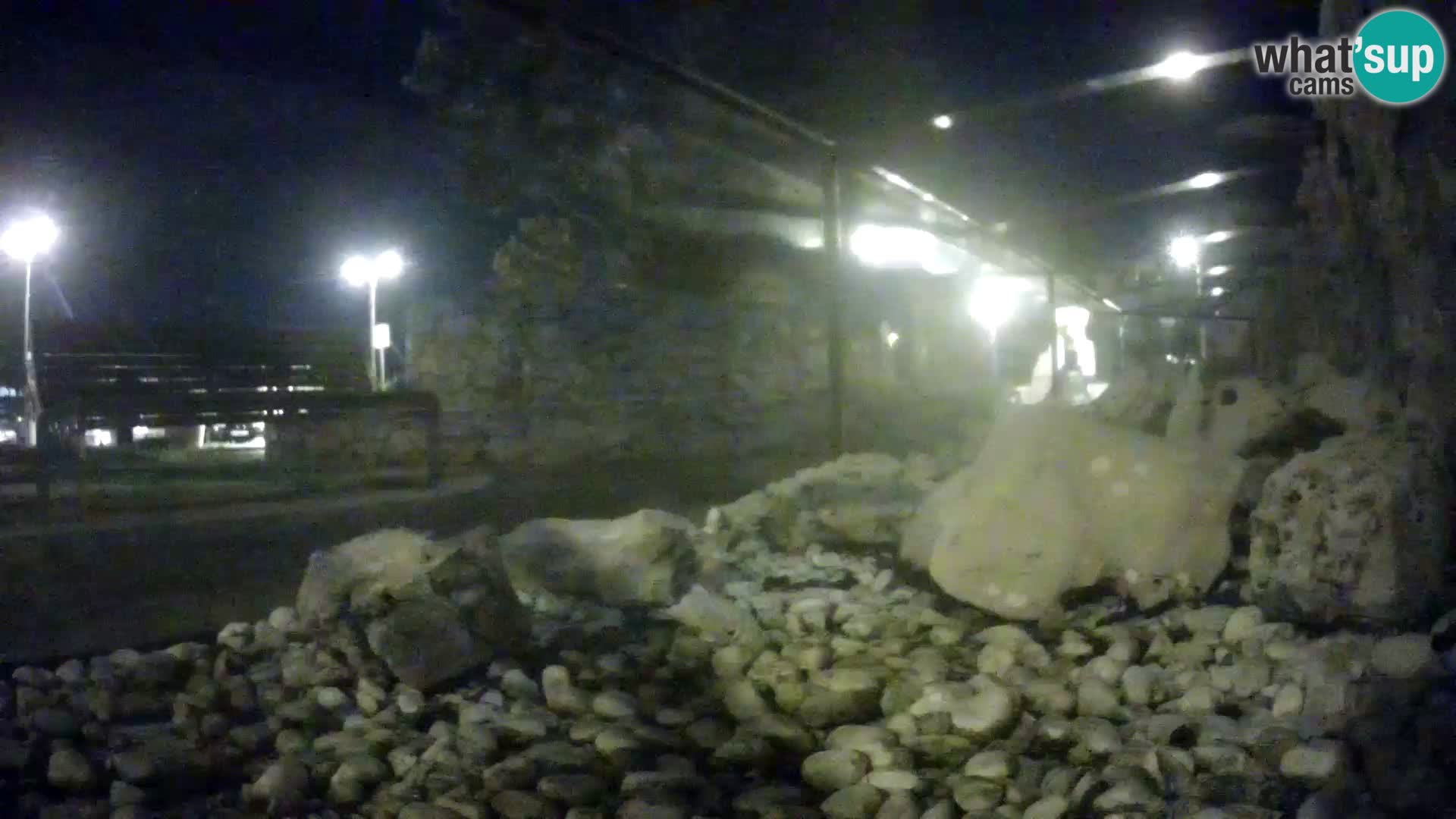 Outdoor Marine Aquarium Rogoznica webcam Croatia