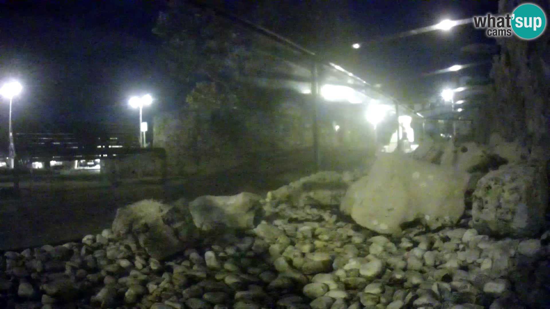 Aquario marino esterno –  Rogoznica livecam Croazia