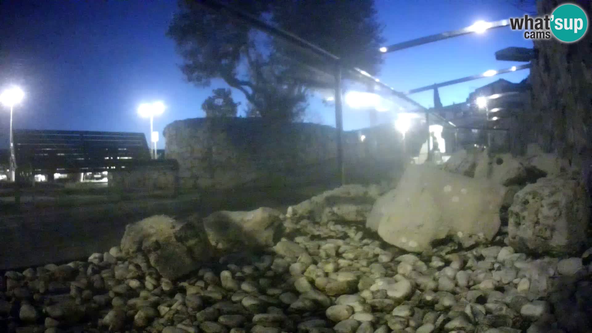 Aquario marino esterno –  Rogoznica livecam Croazia