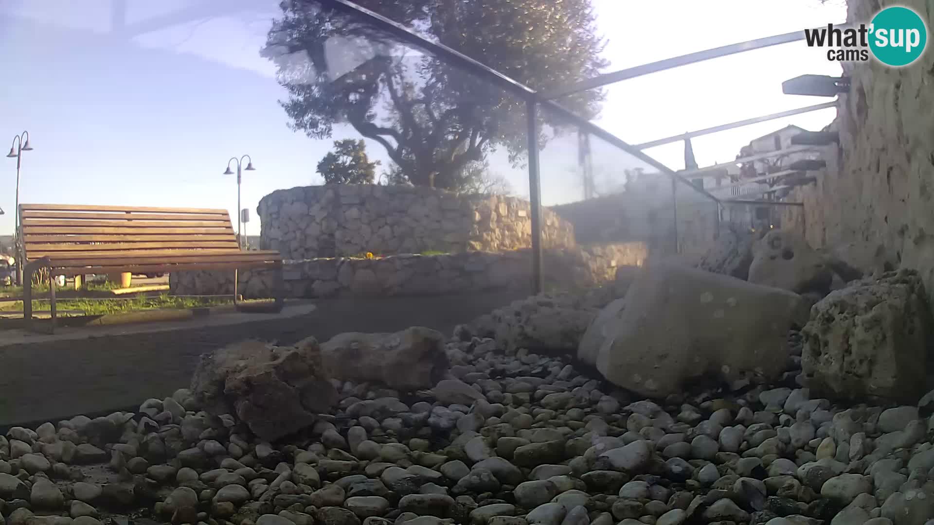 Acuario marino al aire libre Rogoznica webcam Croacia