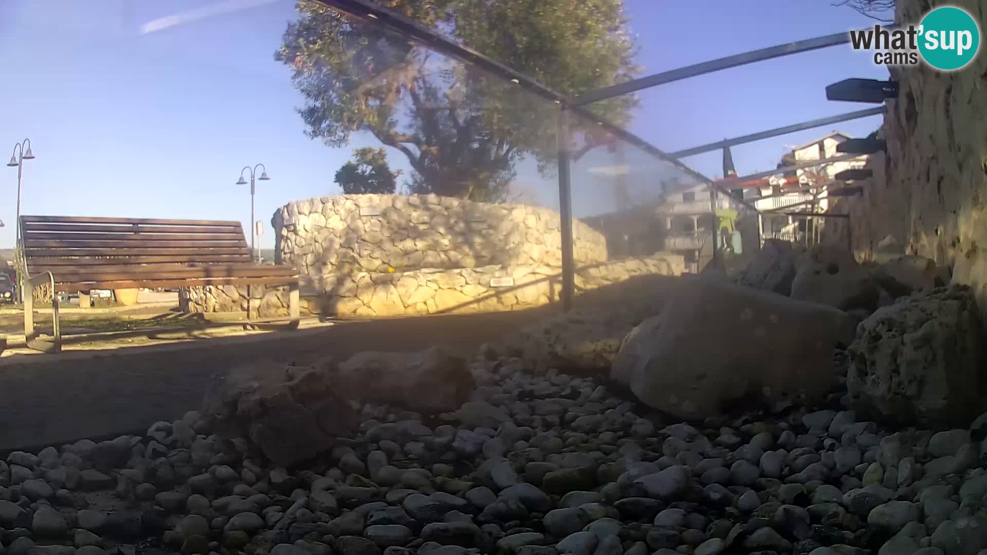 Aquario marino esterno –  Rogoznica livecam Croazia