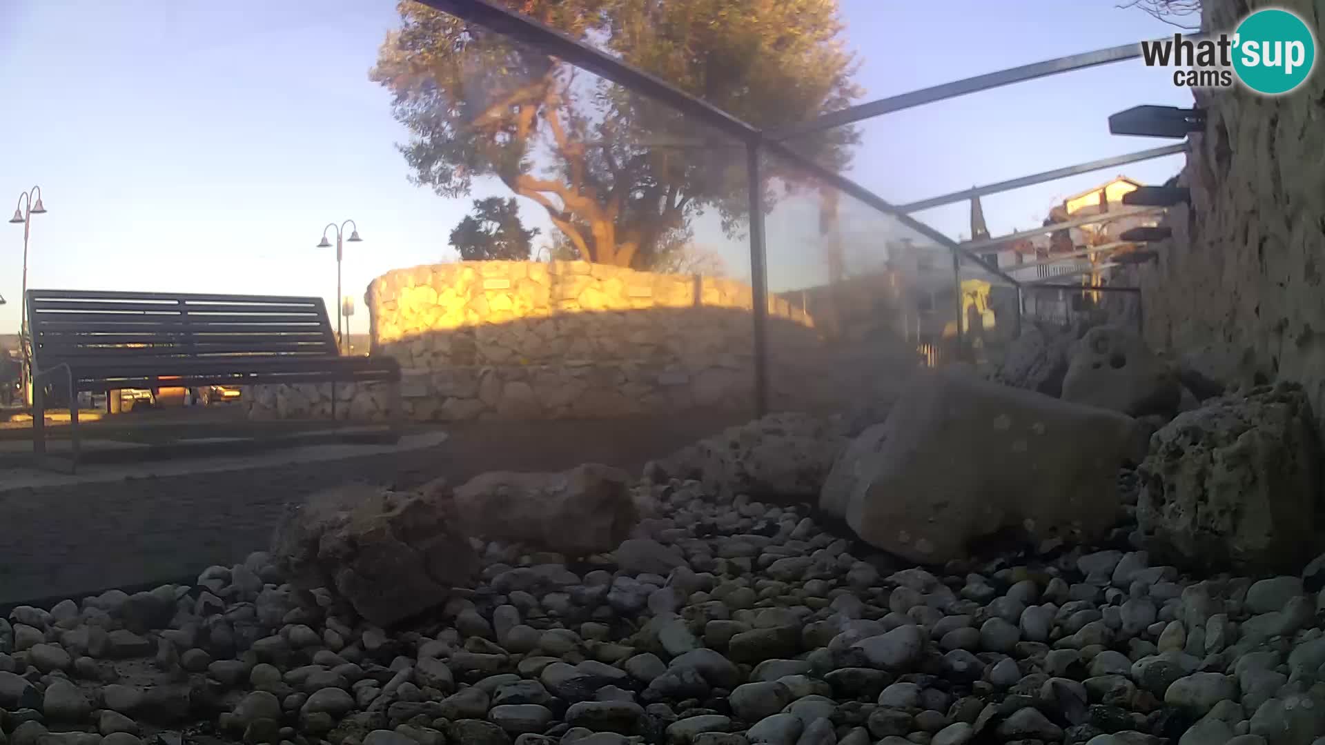 Outdoor Marine Aquarium Rogoznica webcam Croatia