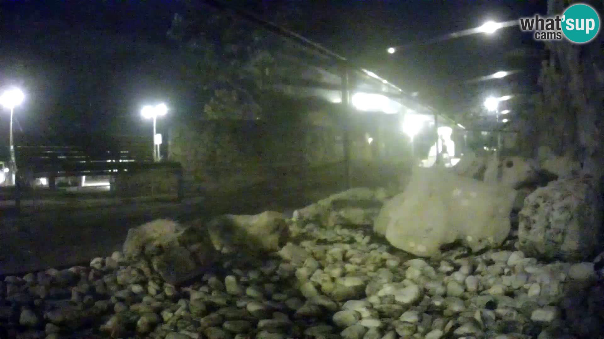 Outdoor Marine Aquarium Rogoznica webcam Croatia