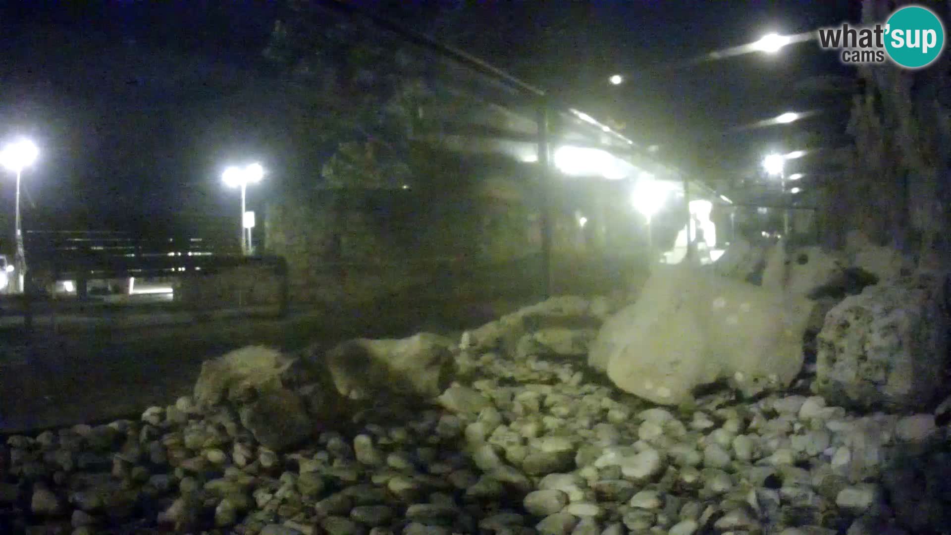 Outdoor Marine Aquarium Rogoznica webcam Croatia