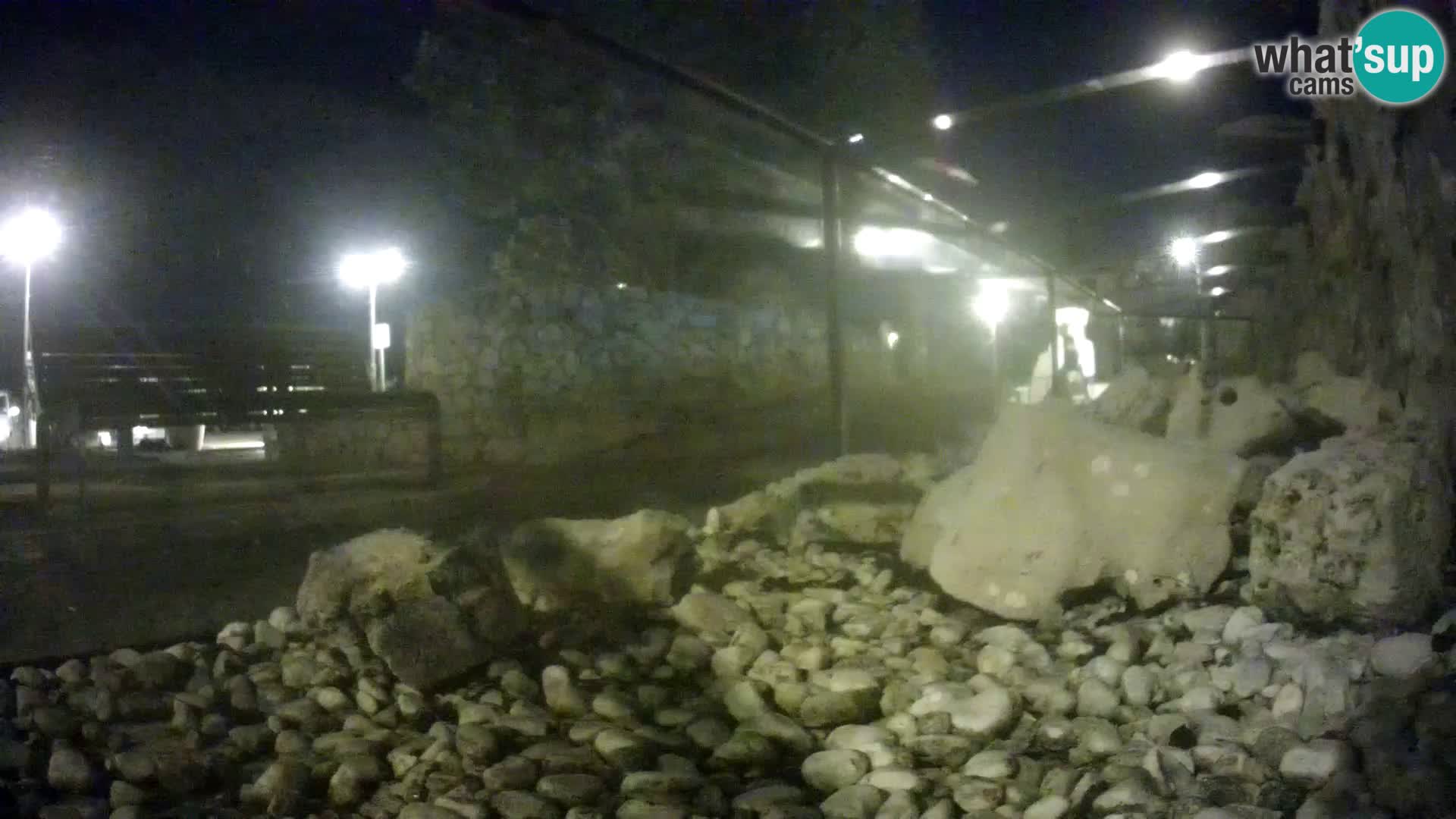 Acuario marino al aire libre Rogoznica webcam Croacia