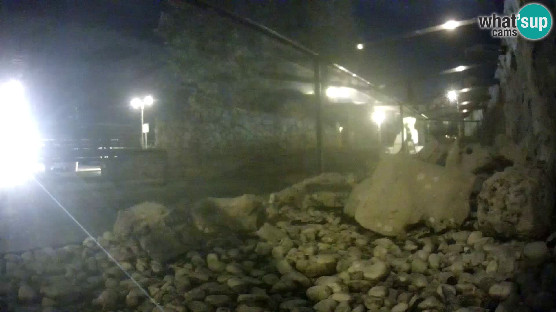 Zunanji morski akvarij Rogoznica spletna kamera Hrvaška