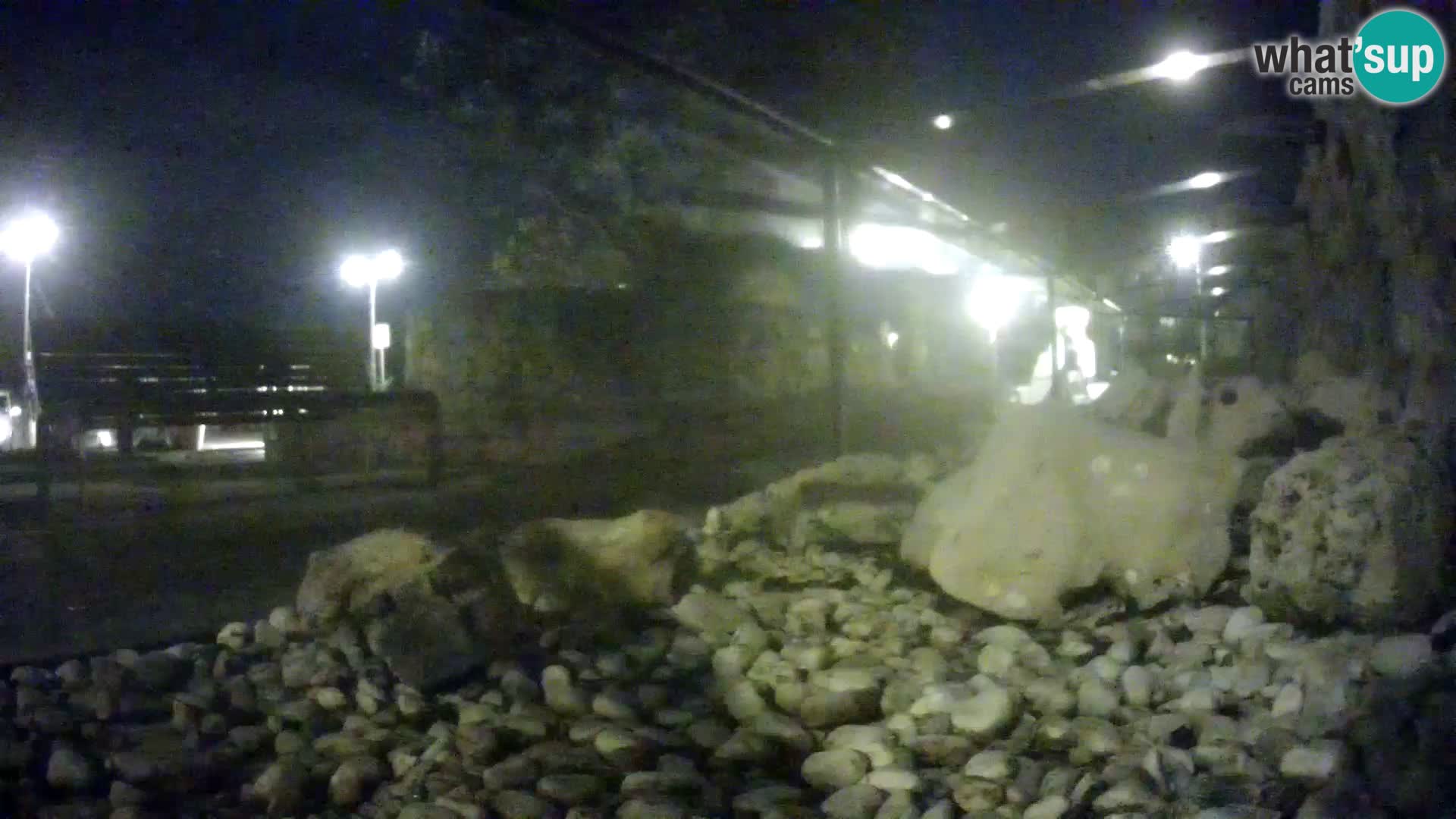 Outdoor Marine Aquarium Rogoznica webcam Croatia