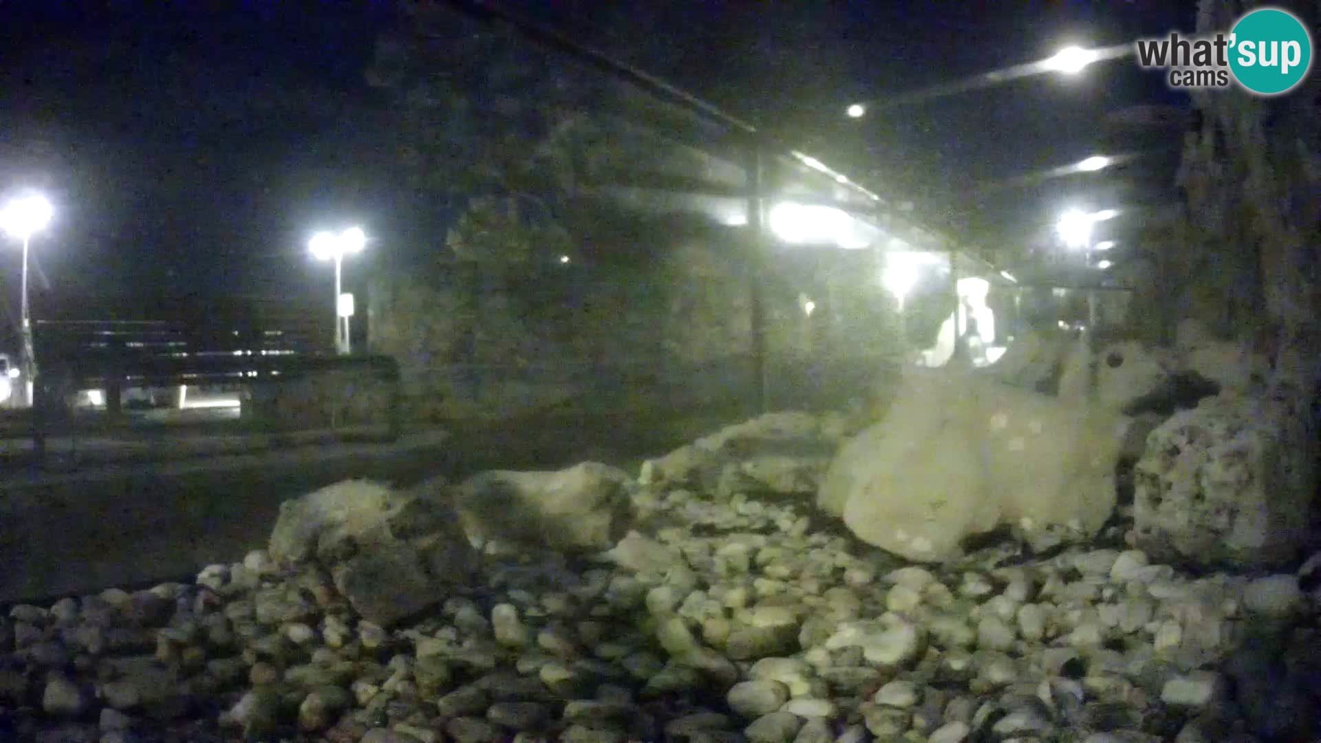 Outdoor Marine Aquarium Rogoznica webcam Croatia