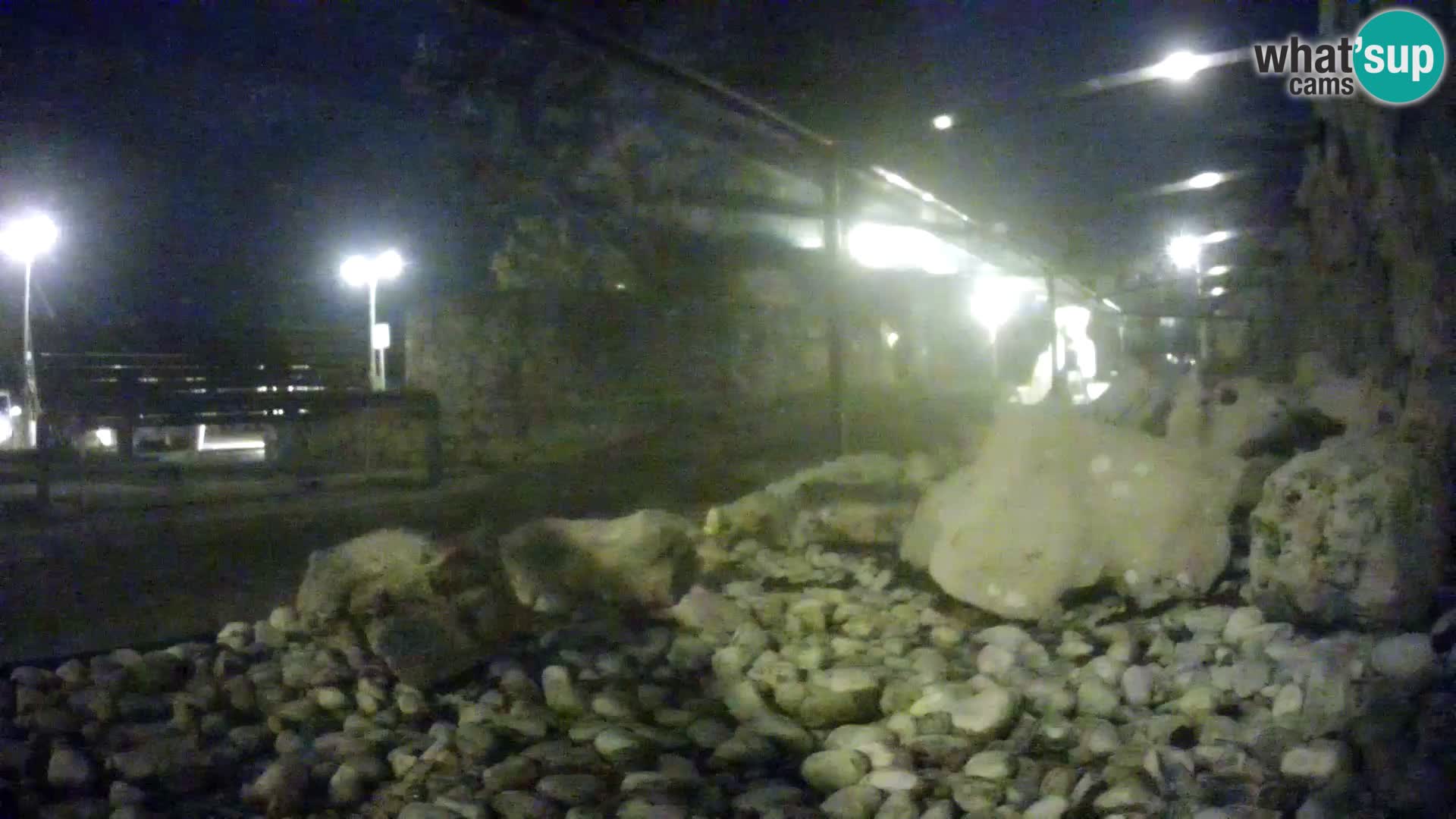 Webcam de l’aquarium marin extérieur de Rogoznica Croatie