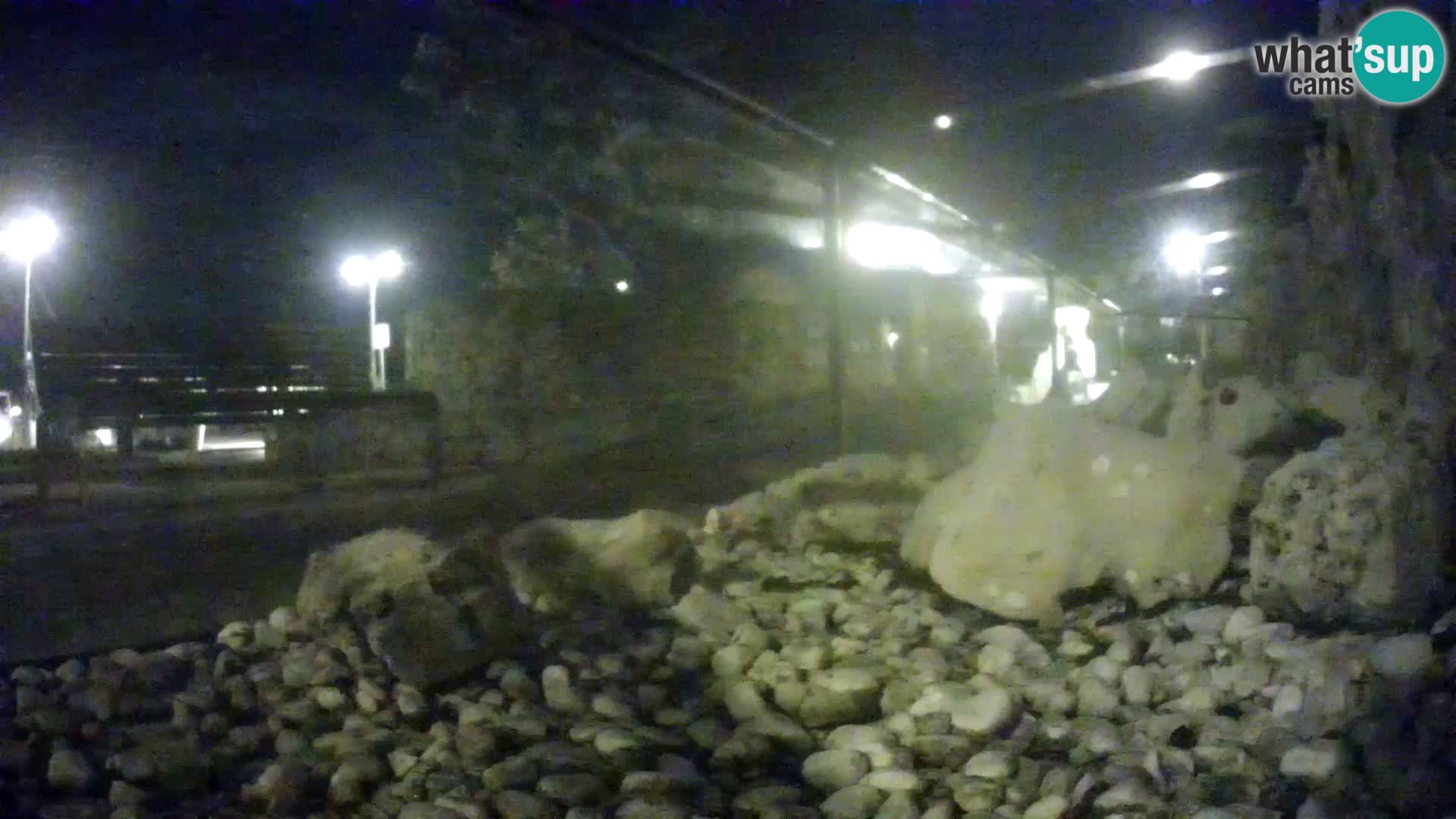 Marine Aquarium im Freien Rogoznica webcam Kroatien