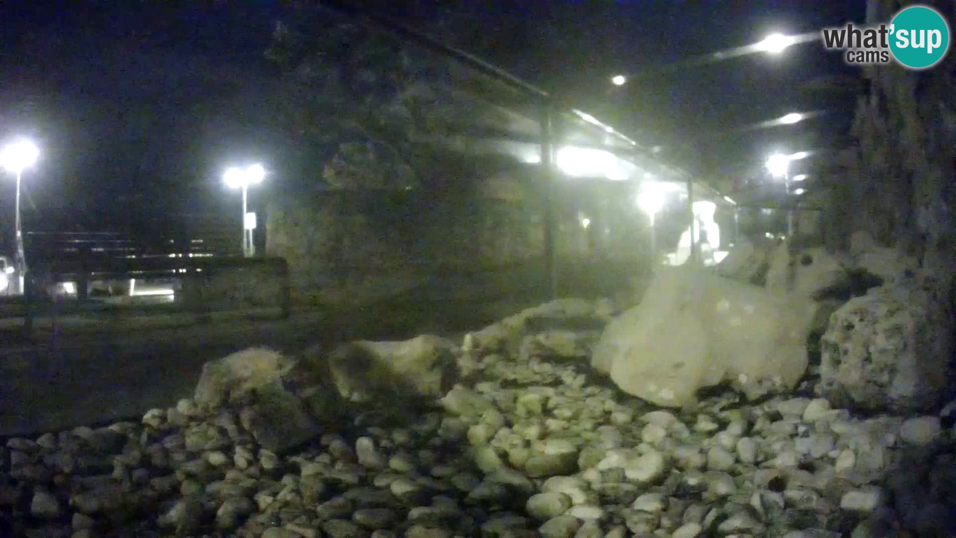 Webcam de l’aquarium marin extérieur de Rogoznica Croatie