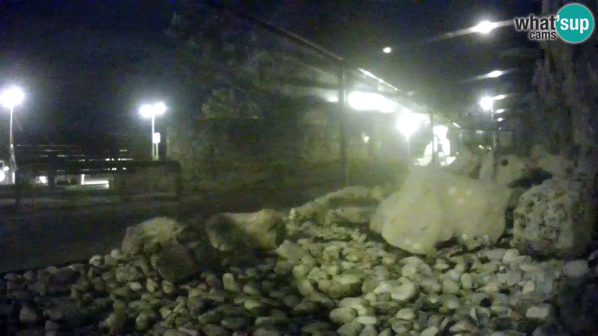 Zunanji morski akvarij Rogoznica spletna kamera Hrvaška