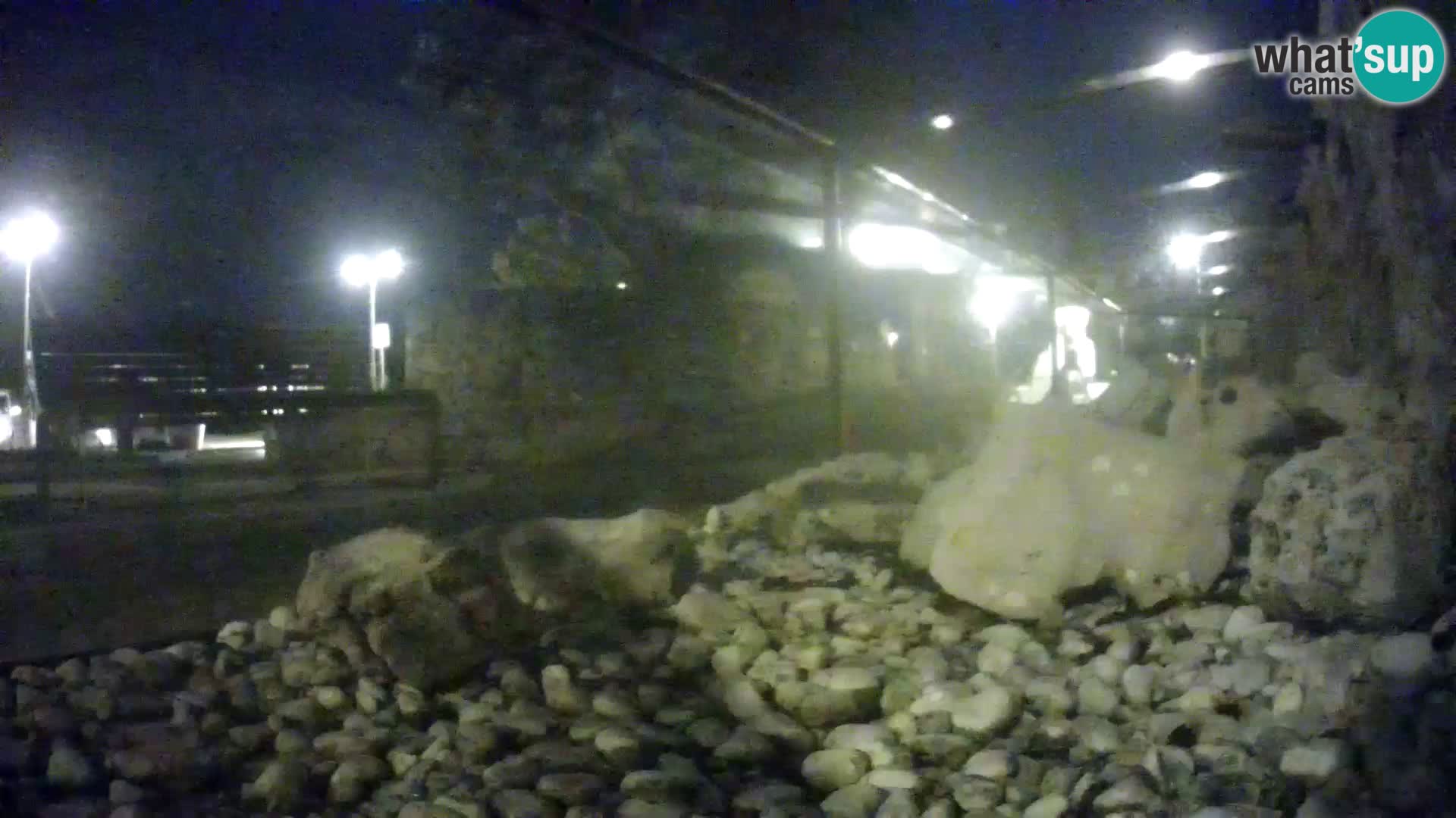 Webcam de l’aquarium marin extérieur de Rogoznica Croatie