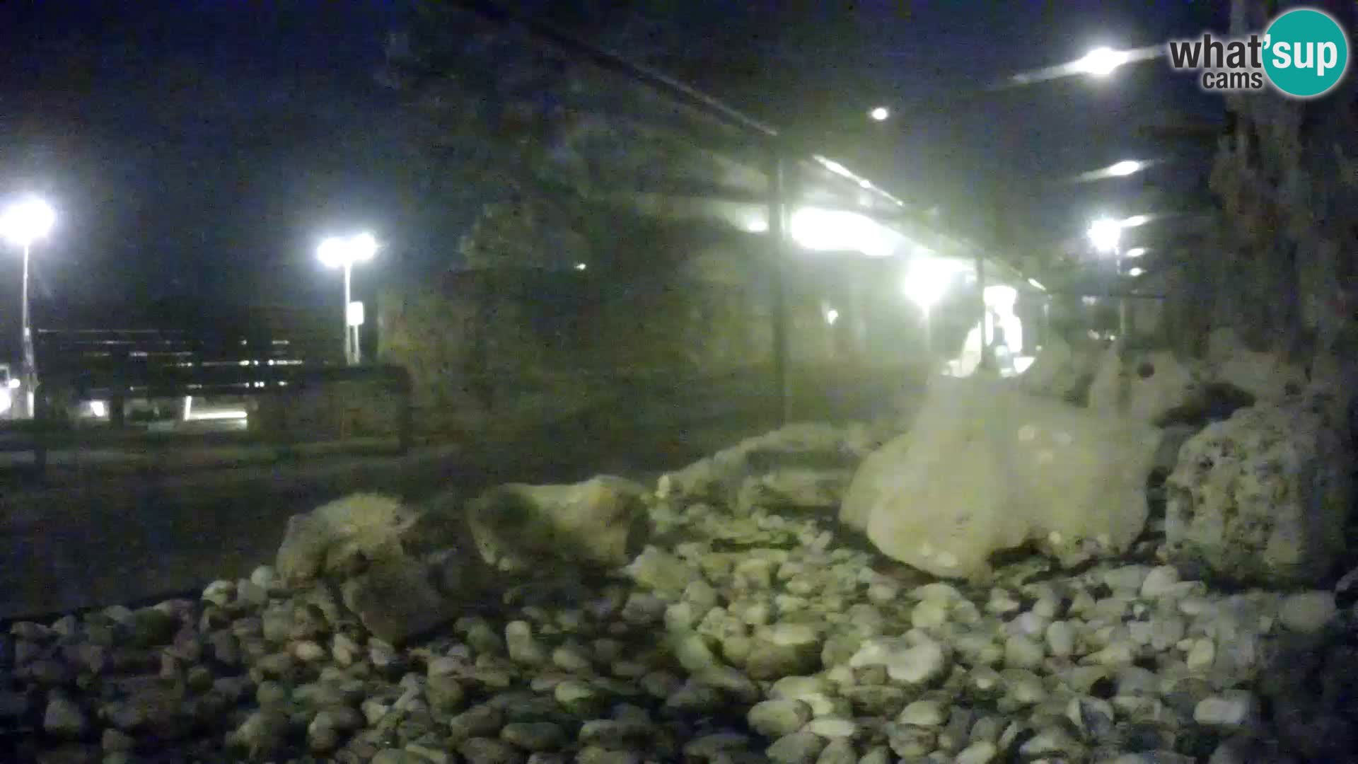 Webcam de l’aquarium marin extérieur de Rogoznica Croatie