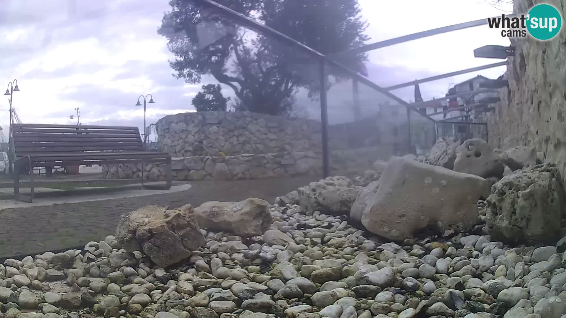 Outdoor Marine Aquarium Rogoznica webcam Croatia