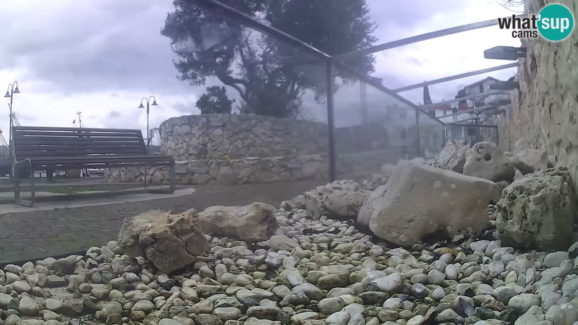 Webcam de l’aquarium marin extérieur de Rogoznica Croatie