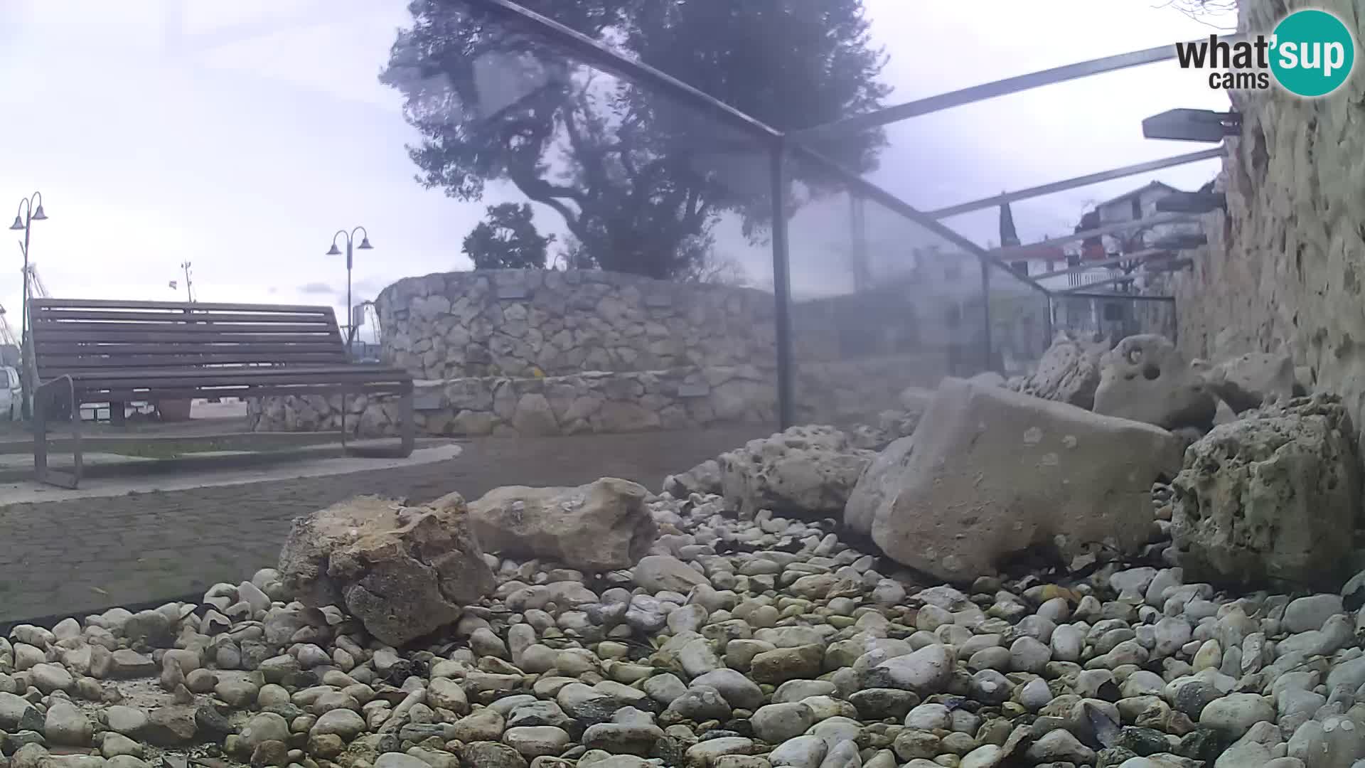 Acuario marino al aire libre Rogoznica webcam Croacia