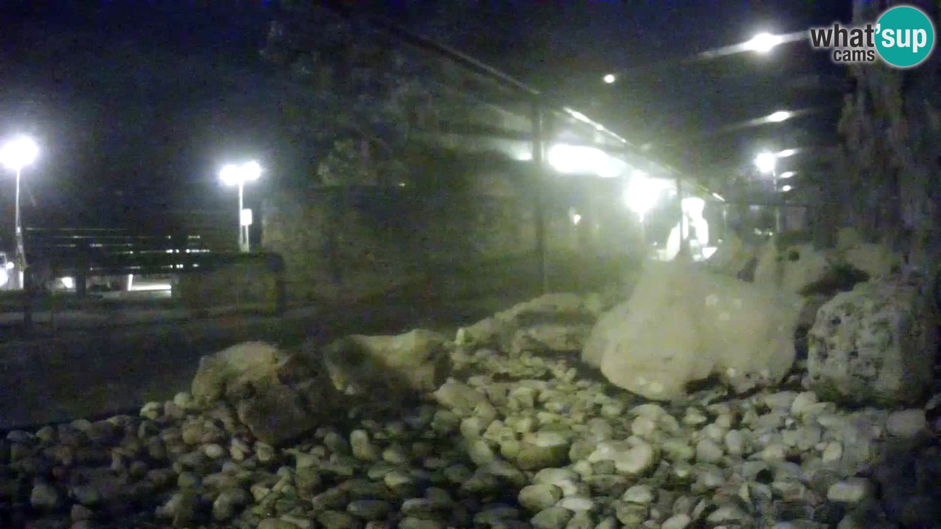 Marine Aquarium im Freien Rogoznica webcam Kroatien