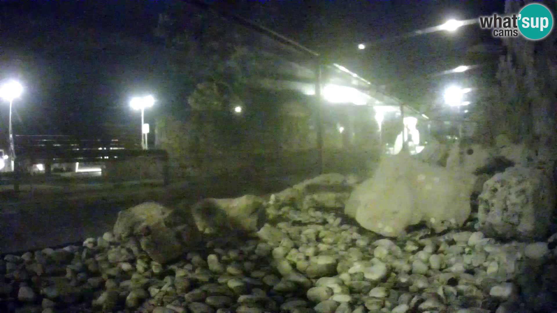 Zunanji morski akvarij Rogoznica spletna kamera Hrvaška