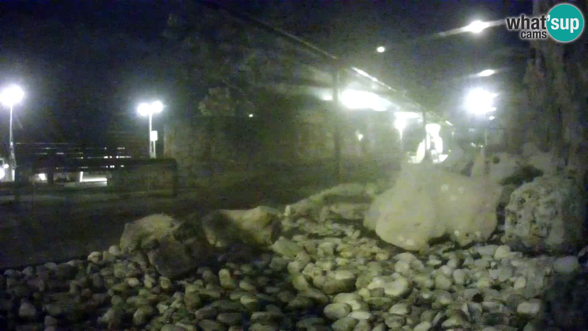 Outdoor Marine Aquarium Rogoznica webcam Croatia