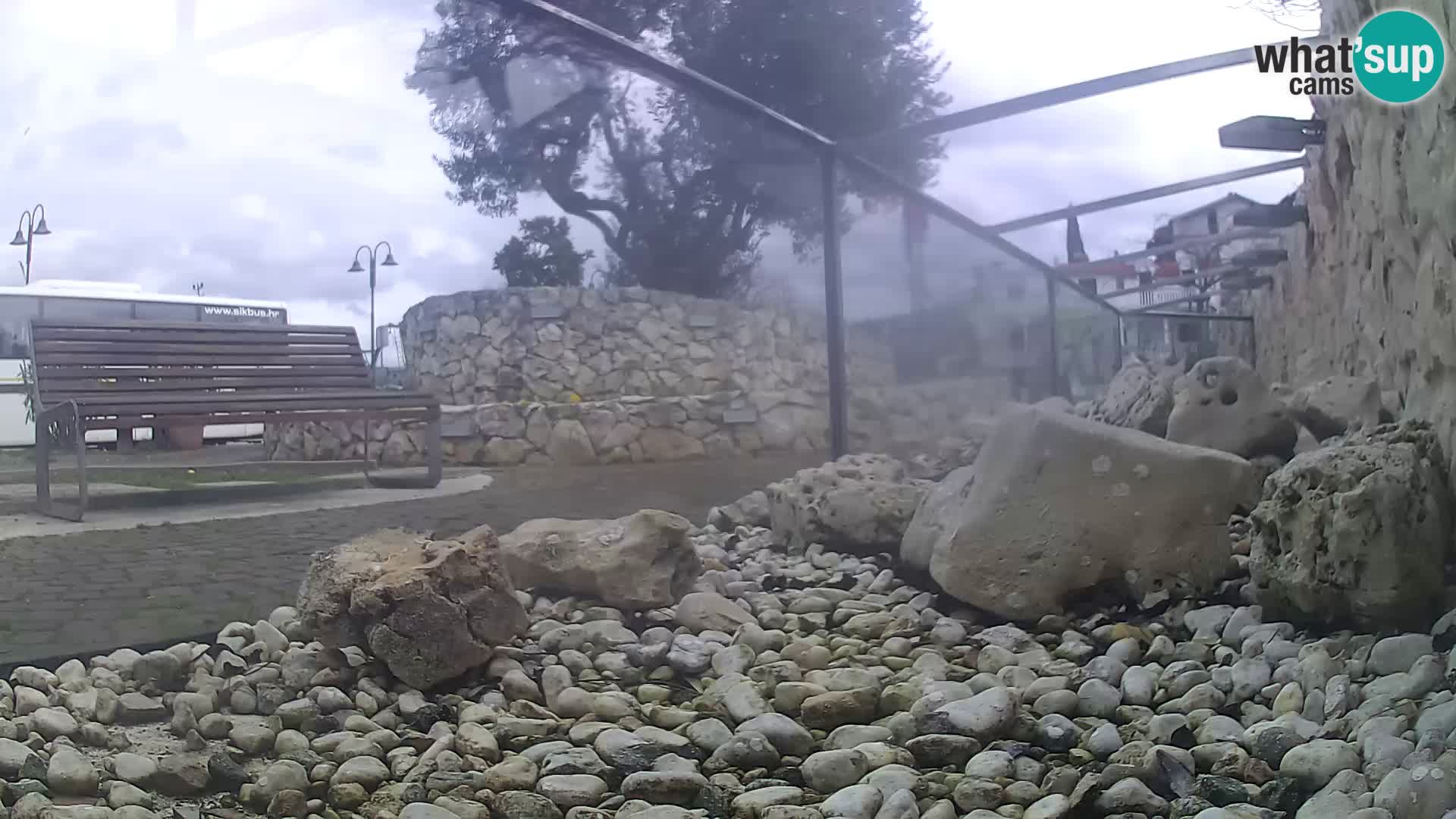 Aquario marino esterno –  Rogoznica livecam Croazia