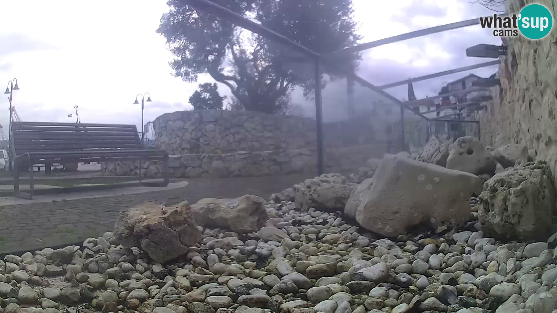 Zunanji morski akvarij Rogoznica spletna kamera Hrvaška