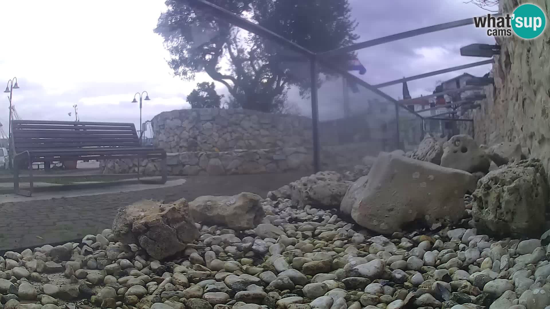 Acuario marino al aire libre Rogoznica webcam Croacia