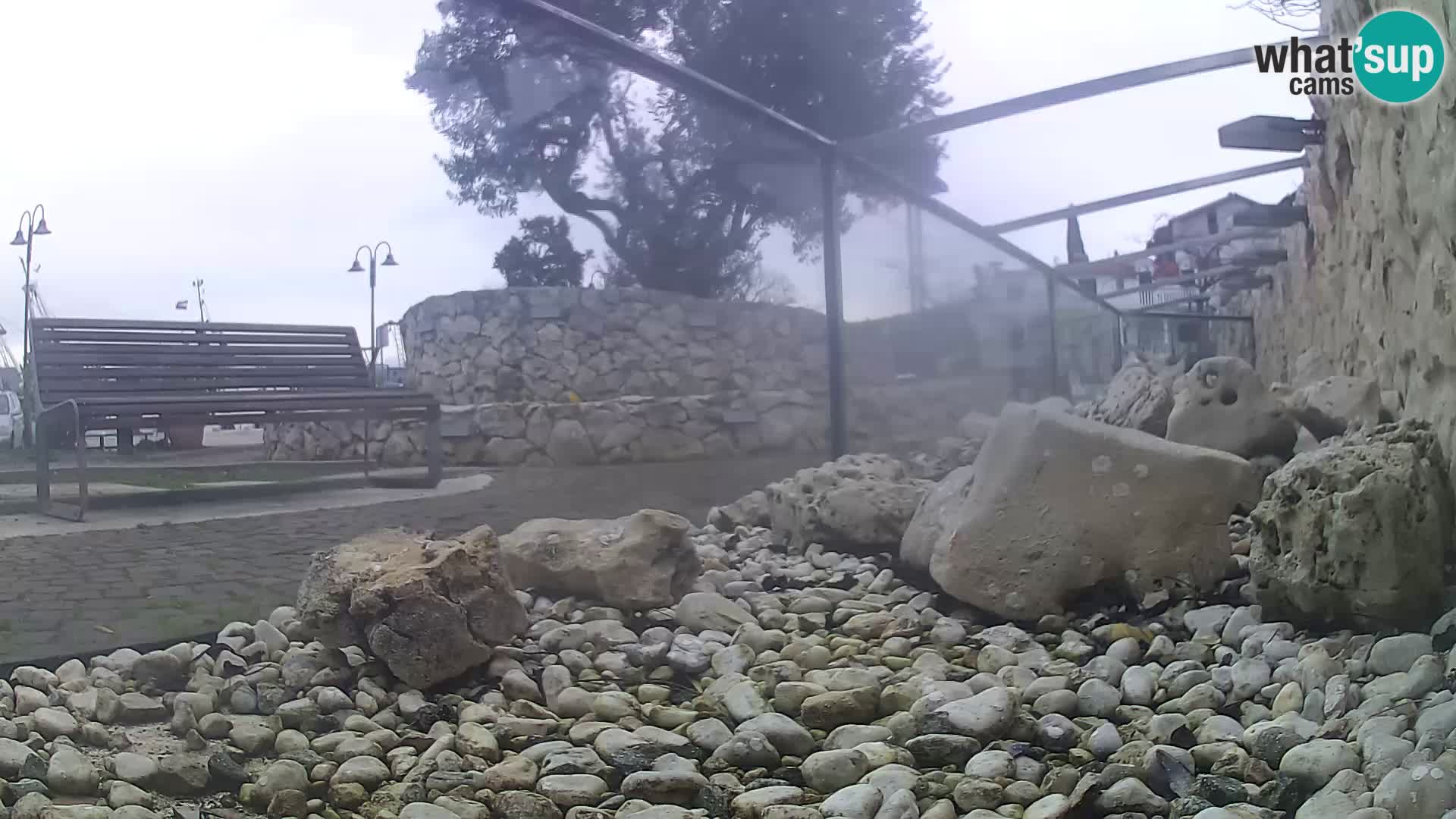 Zunanji morski akvarij Rogoznica spletna kamera Hrvaška