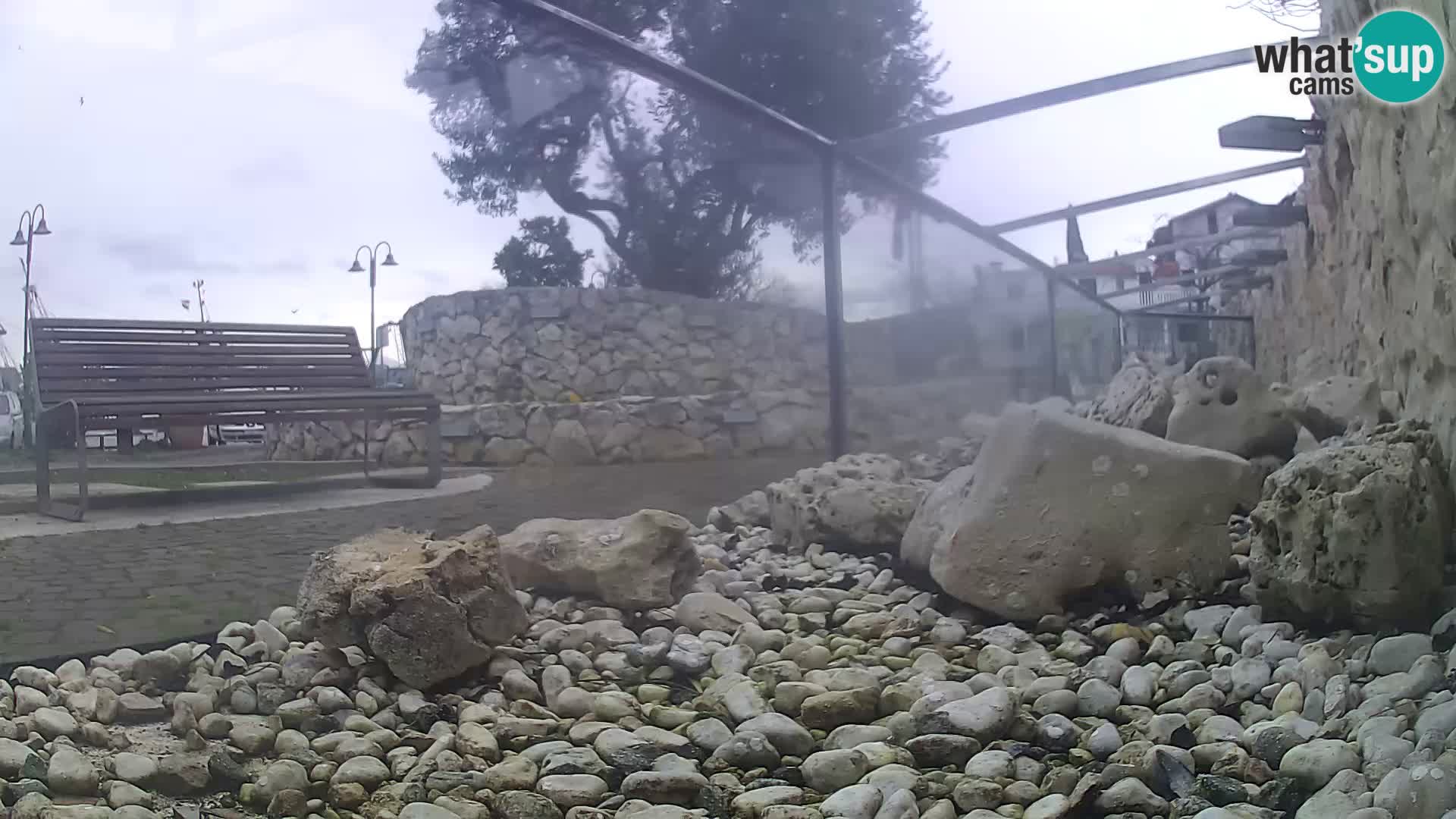 Aquario marino esterno –  Rogoznica livecam Croazia