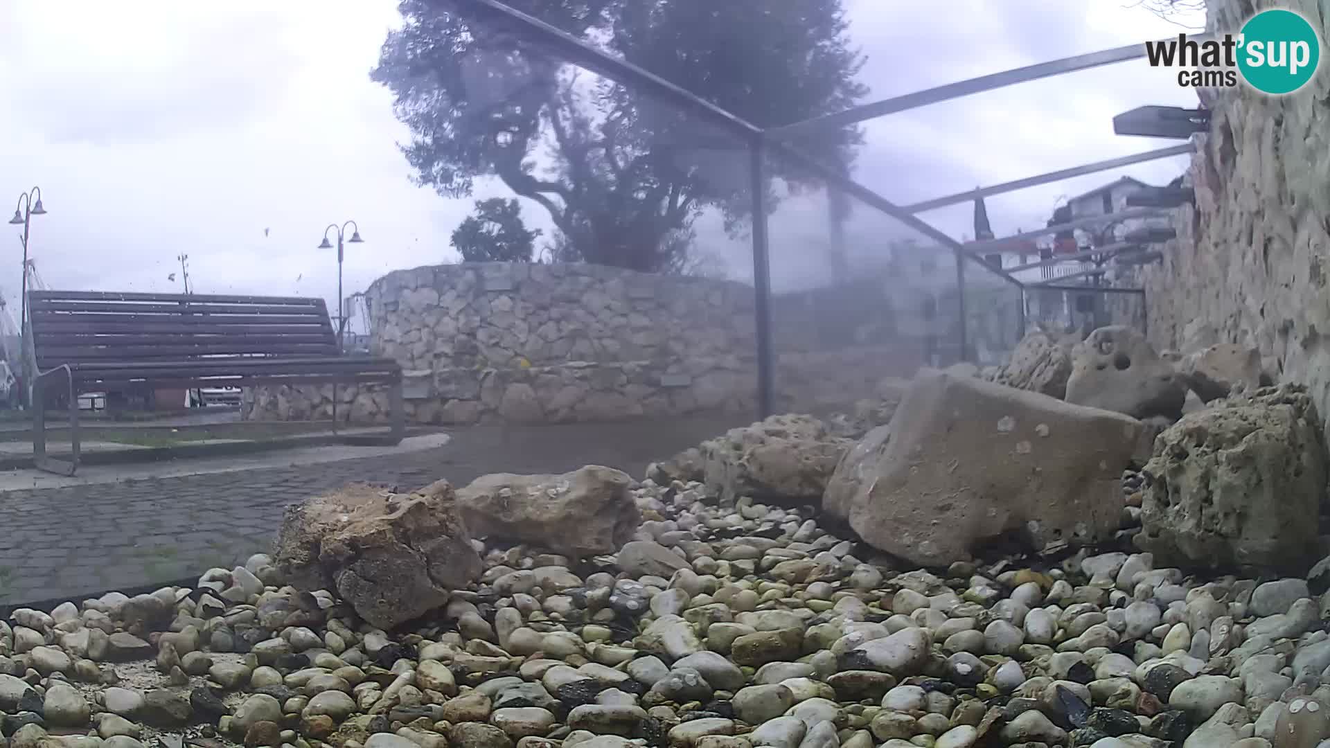 Aquario marino esterno –  Rogoznica livecam Croazia