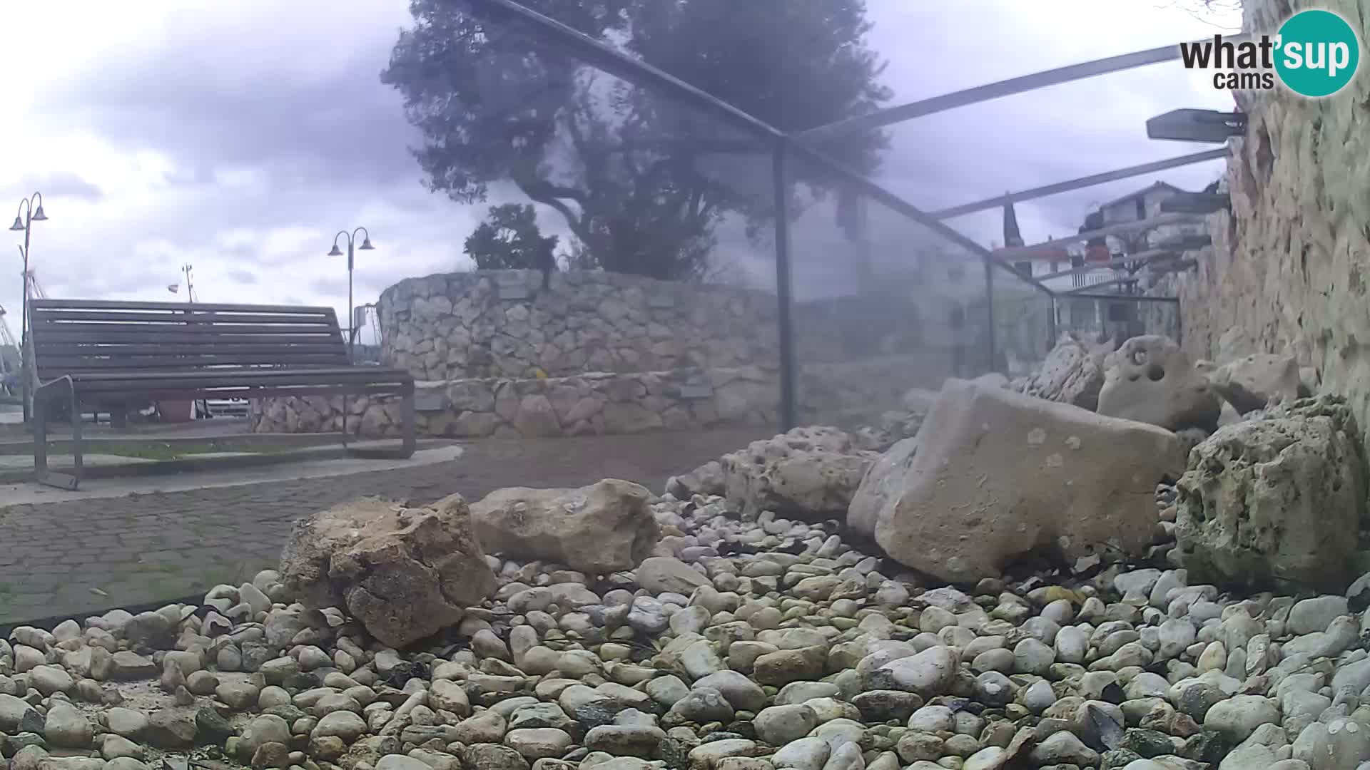 Webcam de l’aquarium marin extérieur de Rogoznica Croatie