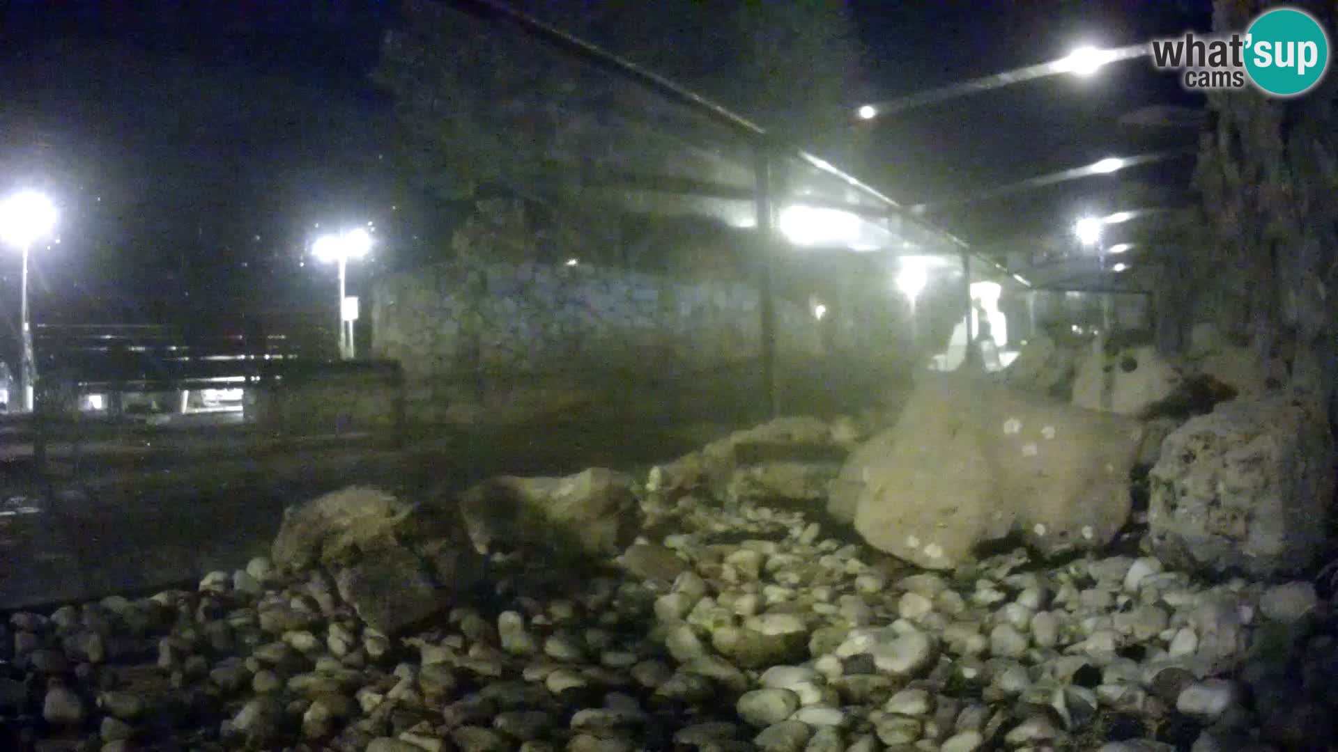 Zunanji morski akvarij Rogoznica spletna kamera Hrvaška