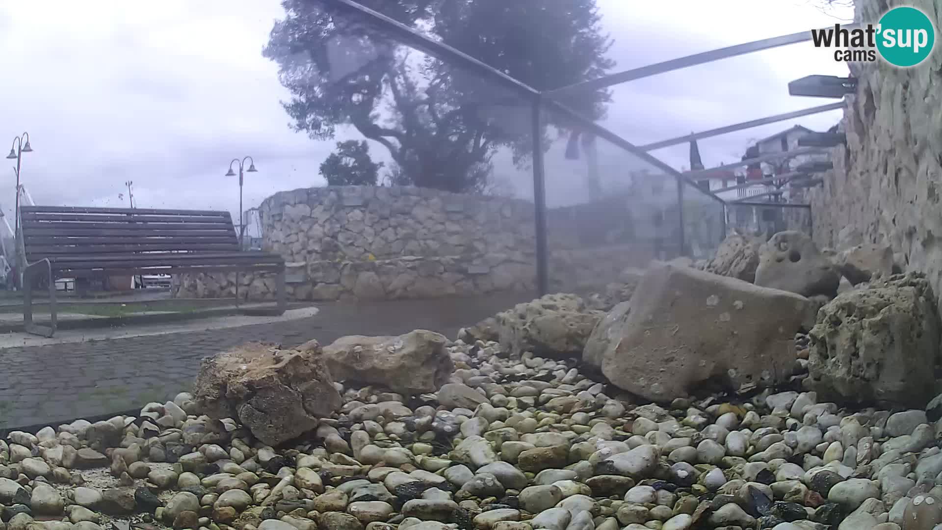 Acuario marino al aire libre Rogoznica webcam Croacia