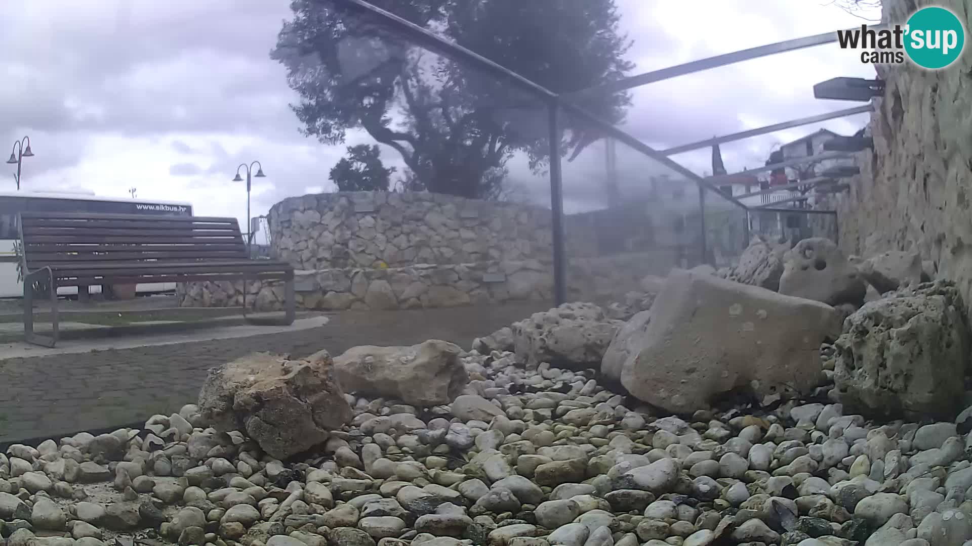 Outdoor Marine Aquarium Rogoznica webcam Croatia