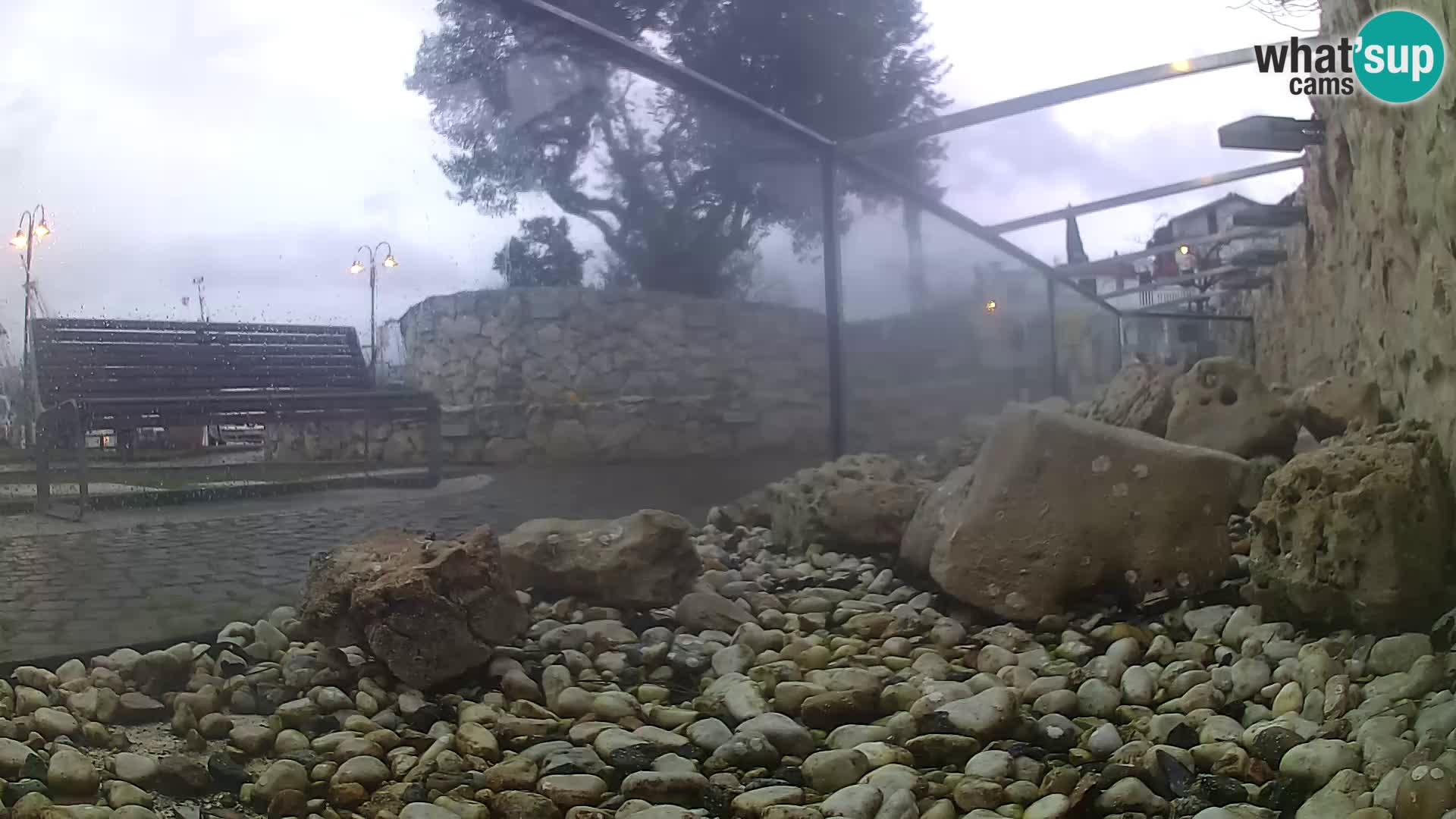 Aquario marino esterno –  Rogoznica livecam Croazia