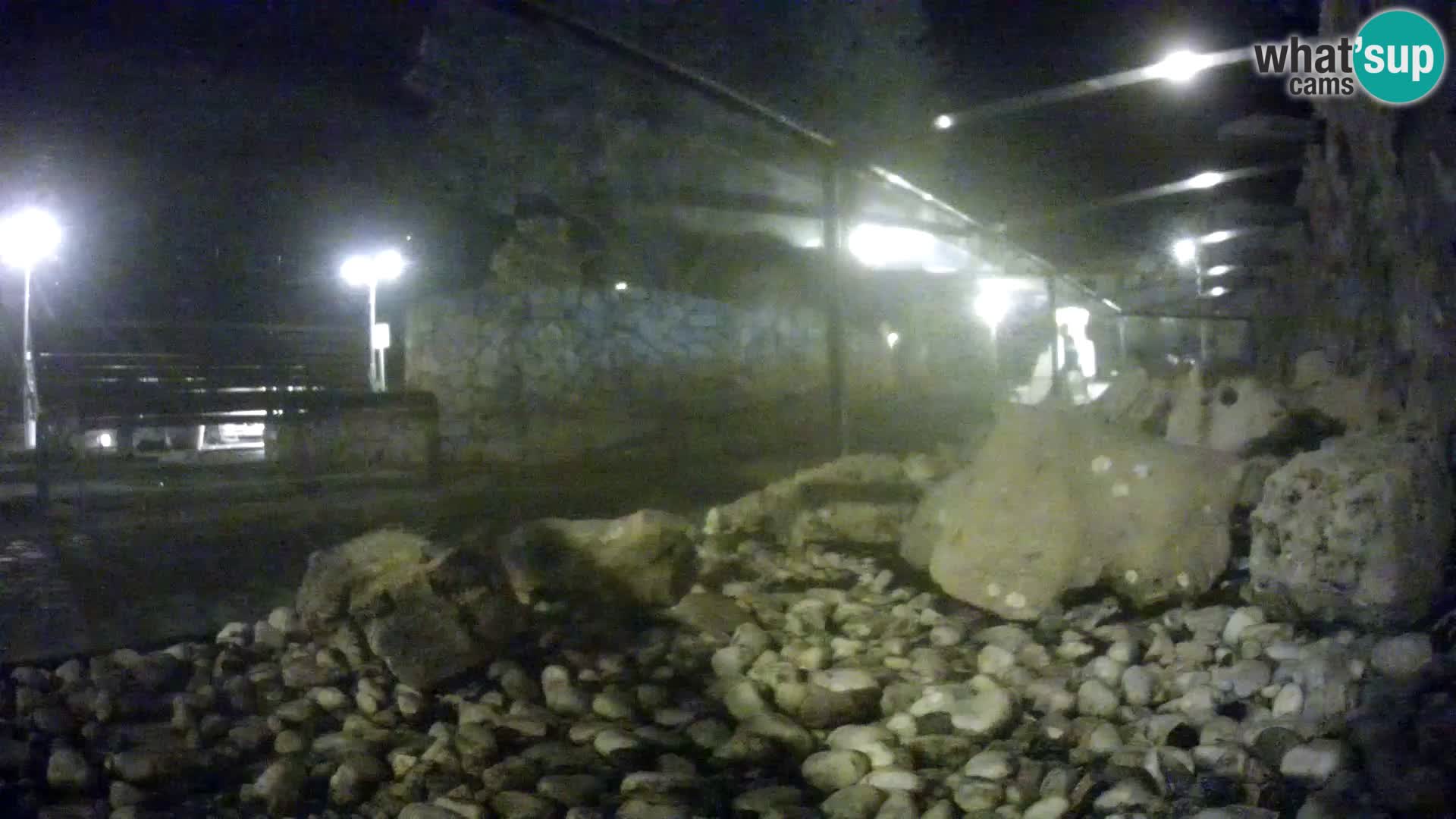 Aquario marino esterno – Rogoznica livecam Croazia